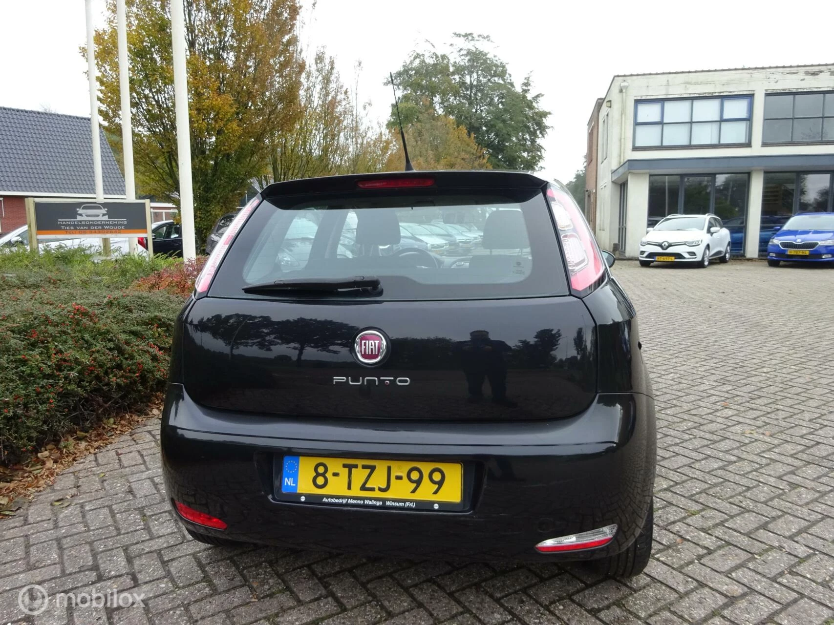 Hoofdafbeelding Fiat Punto