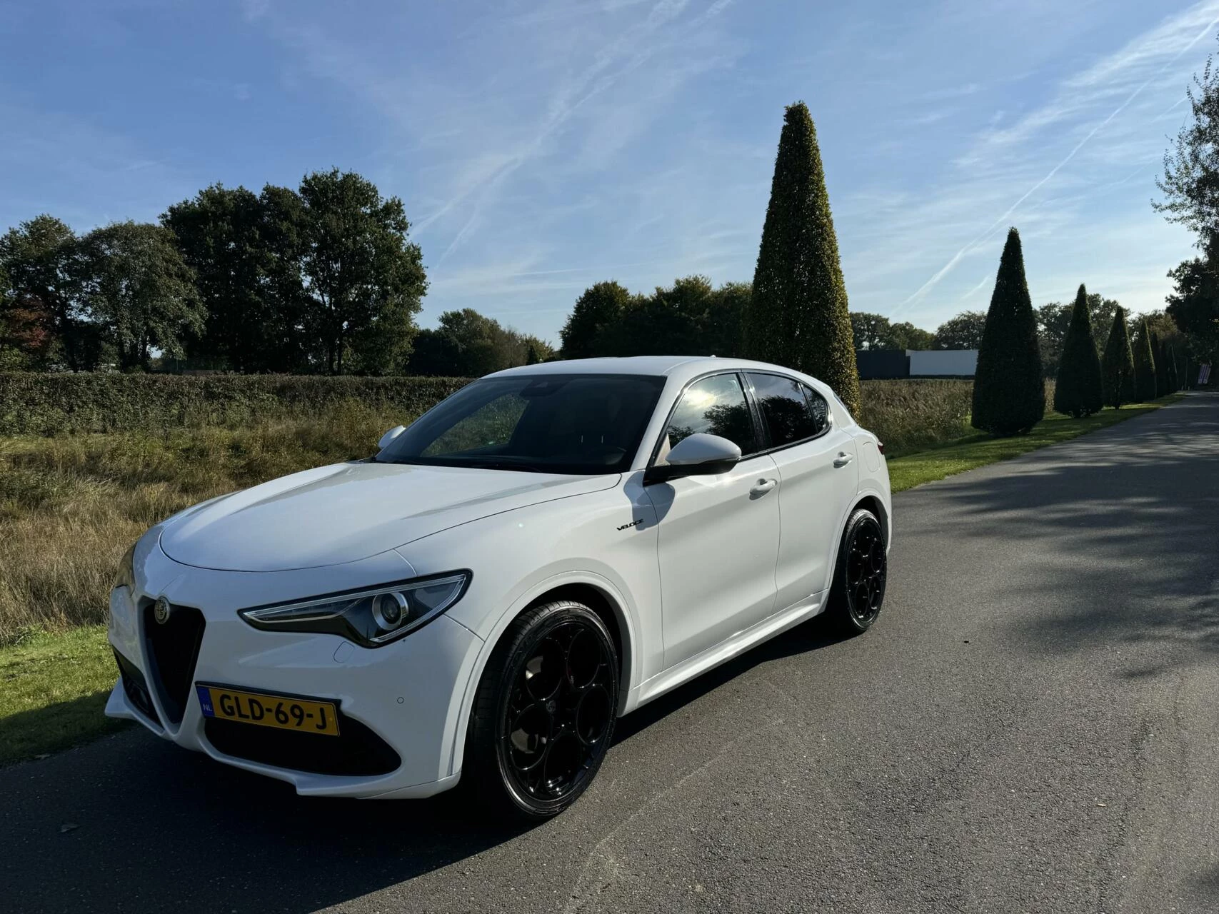 Hoofdafbeelding Alfa Romeo Stelvio