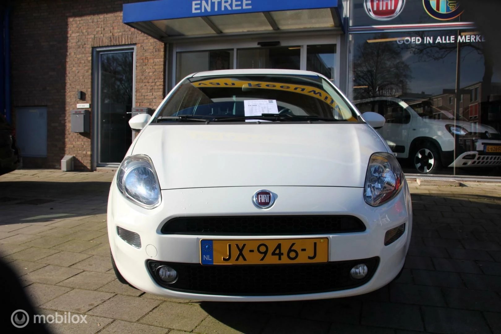 Hoofdafbeelding Fiat Punto