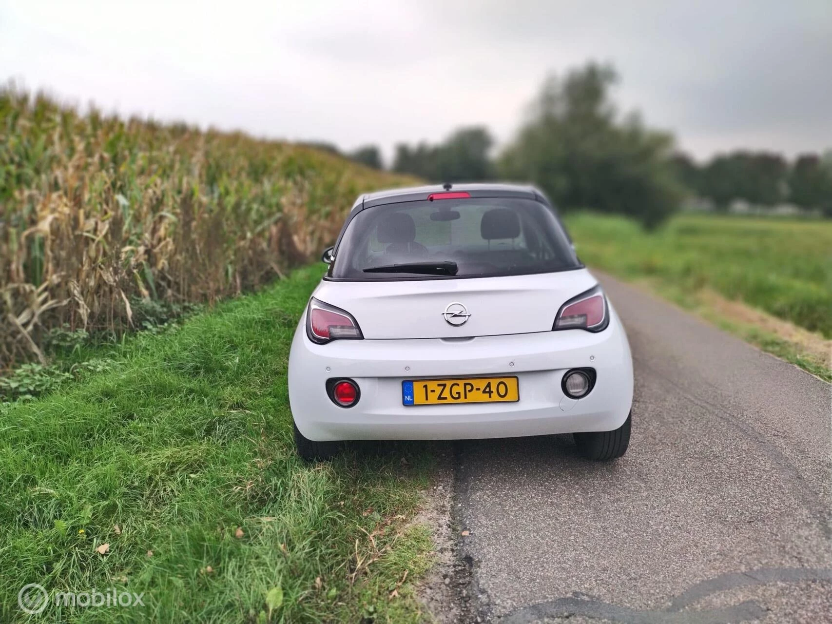 Hoofdafbeelding Opel ADAM