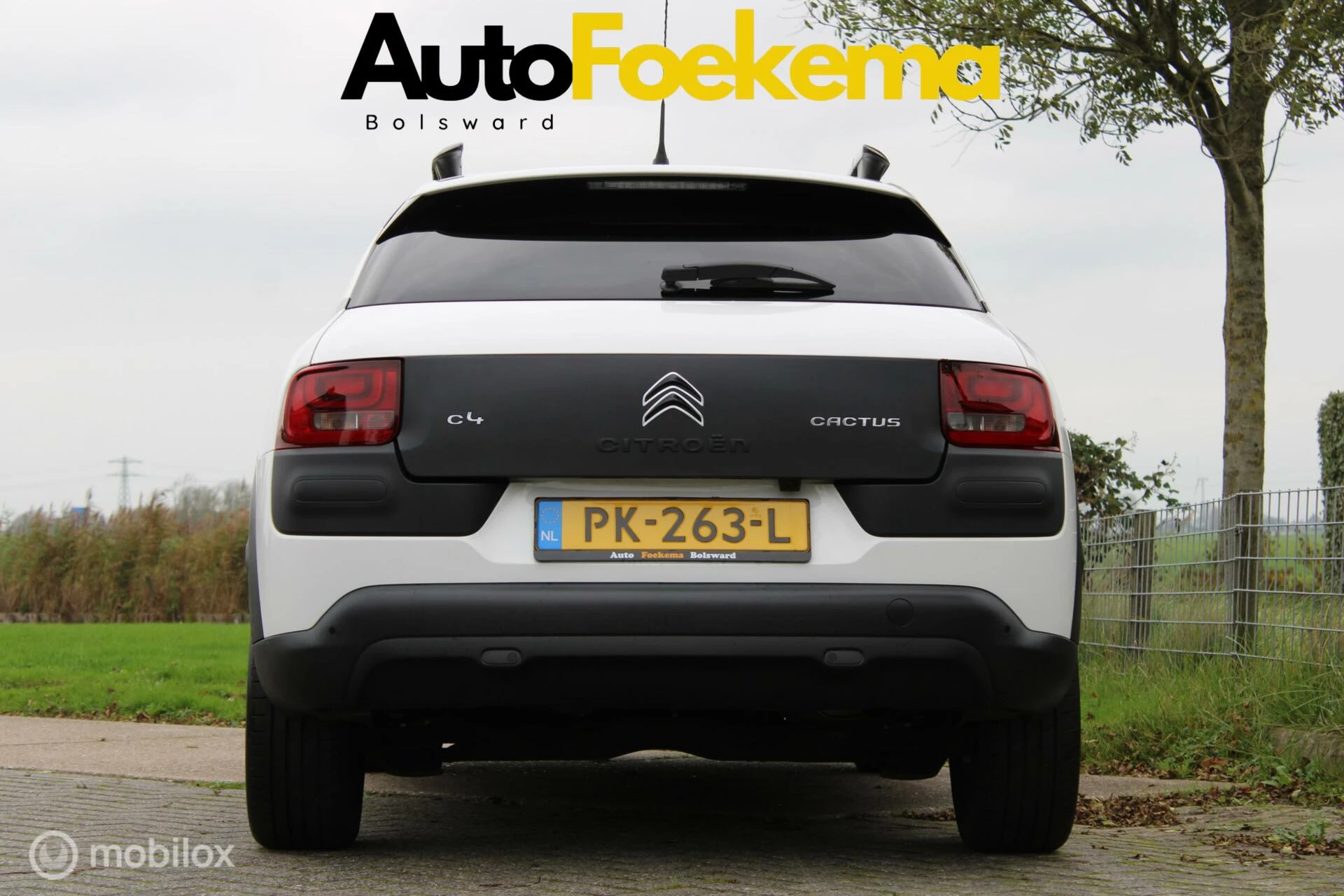 Hoofdafbeelding Citroën C4 Cactus