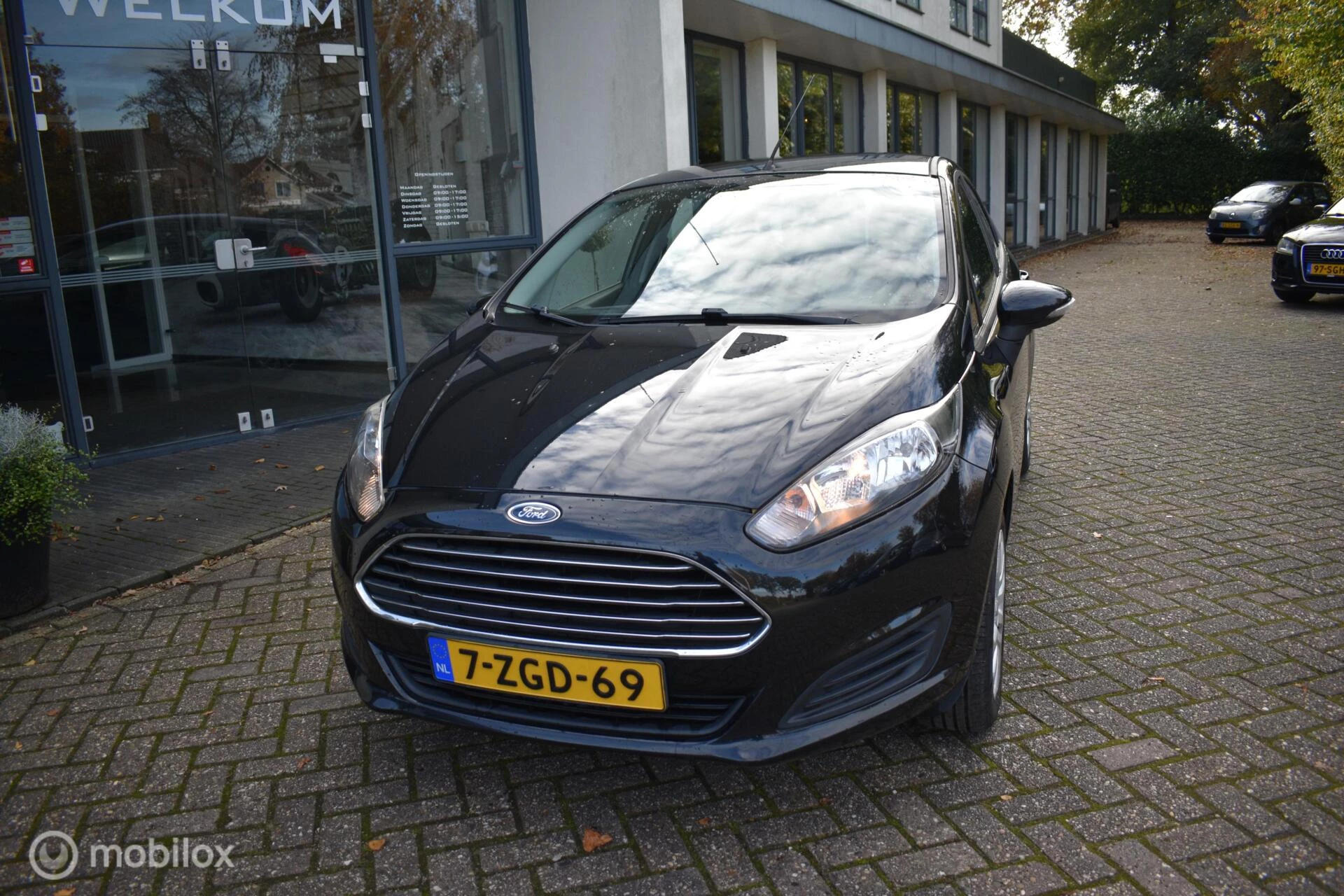 Hoofdafbeelding Ford Fiesta