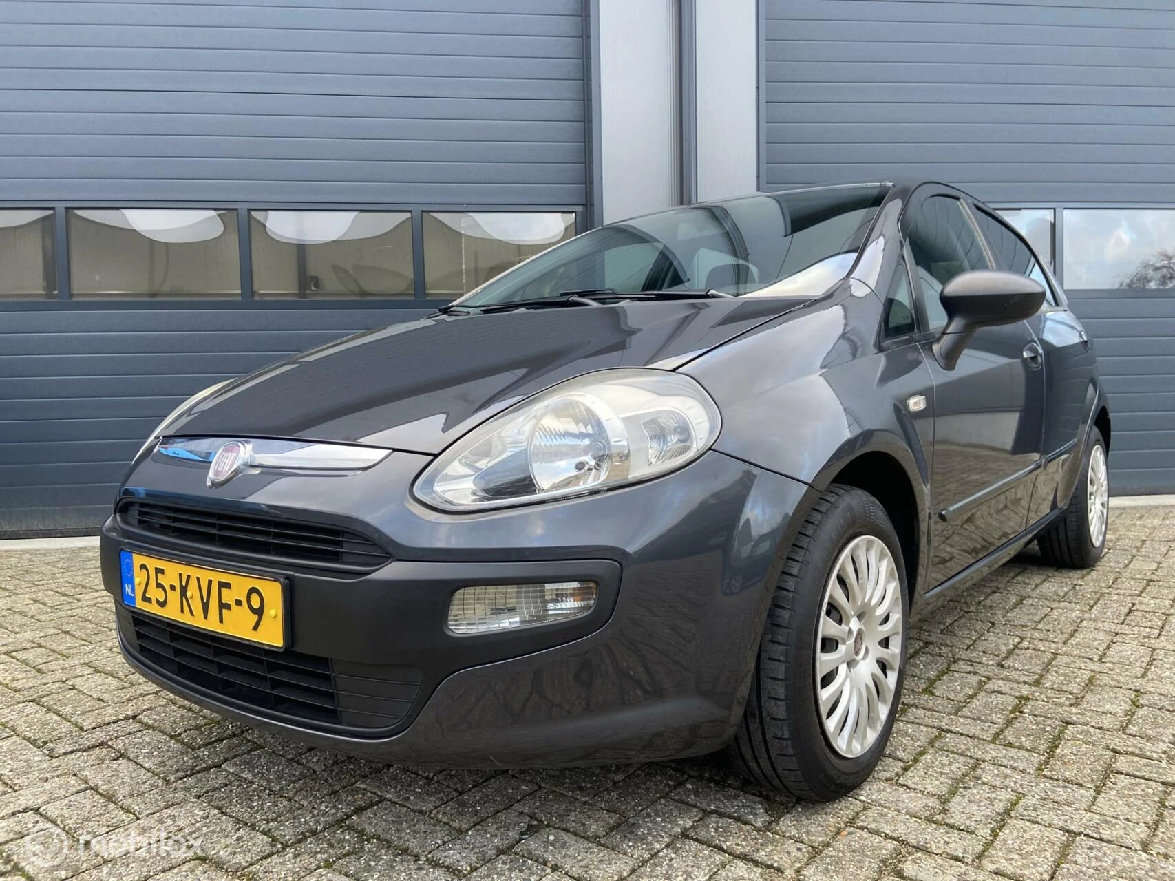 Hoofdafbeelding Fiat Punto
