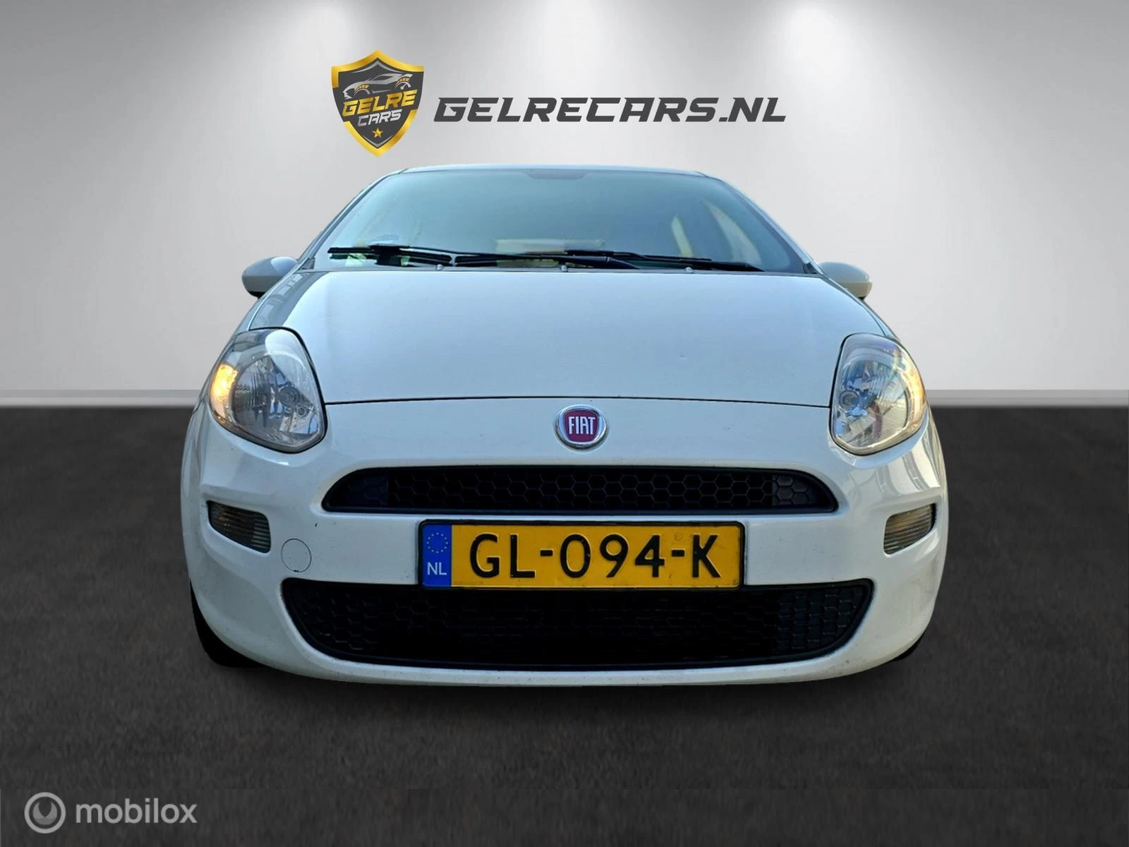 Hoofdafbeelding Fiat Punto