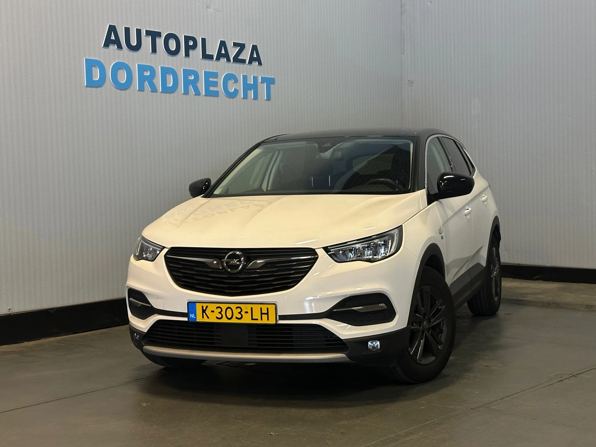 Hoofdafbeelding Opel Grandland X