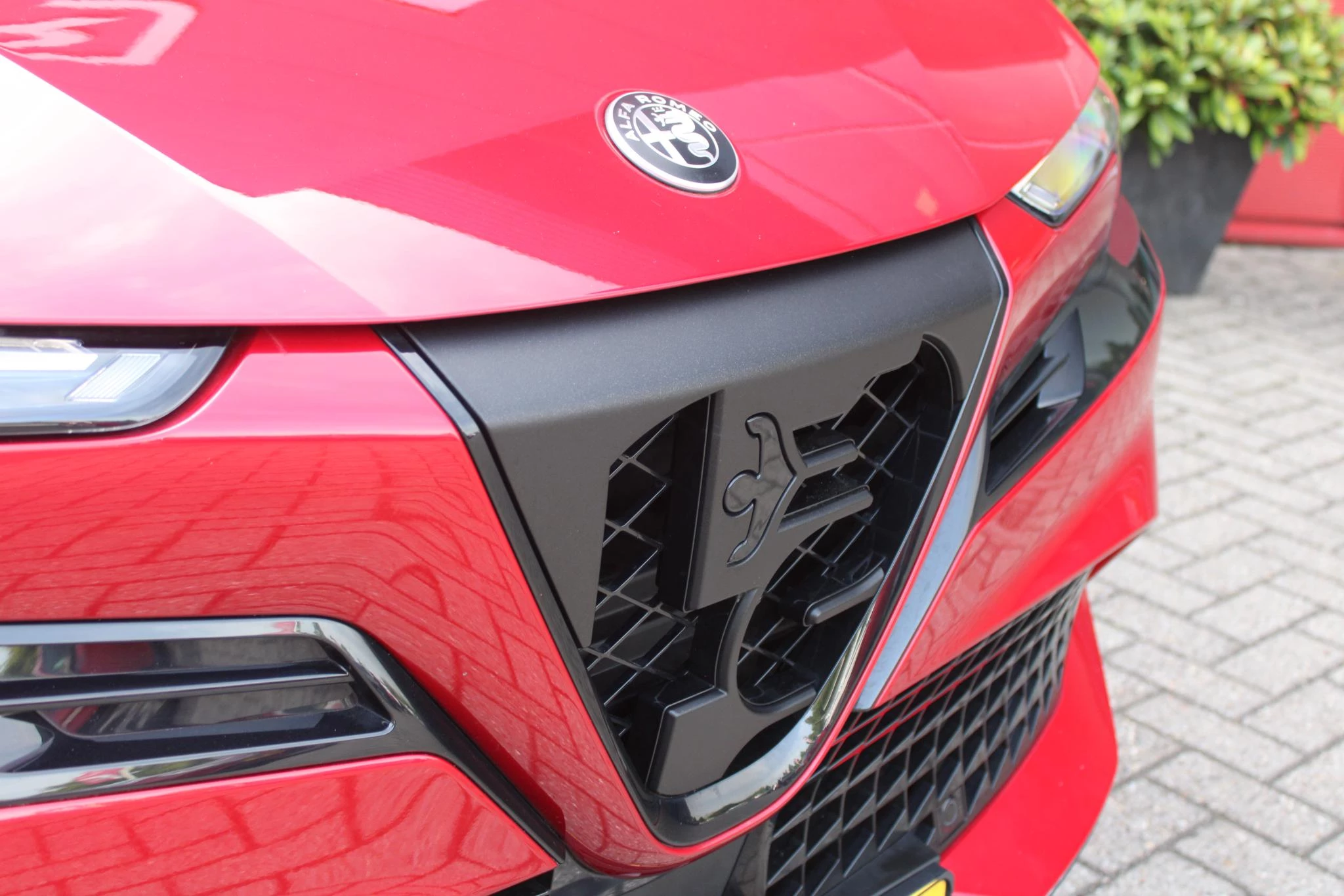 Hoofdafbeelding Alfa Romeo Junior