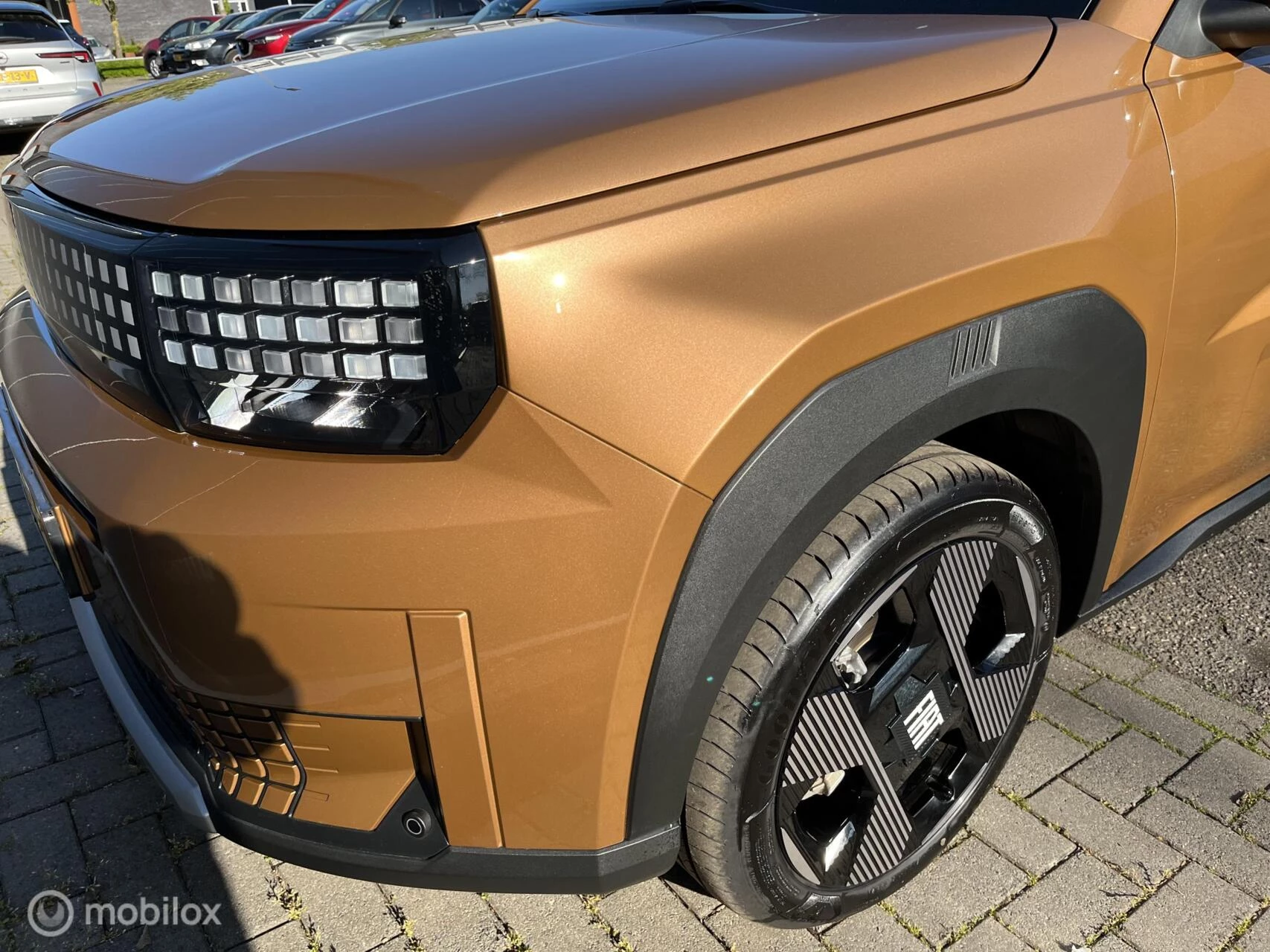 Hoofdafbeelding Fiat Grande Panda