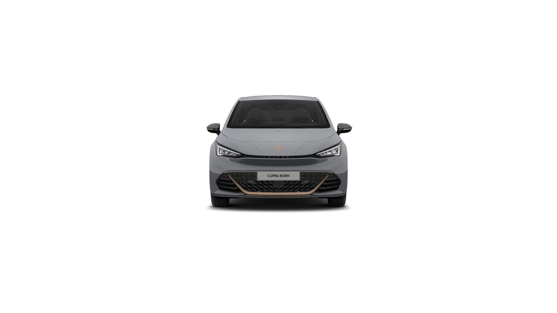 Hoofdafbeelding CUPRA Born