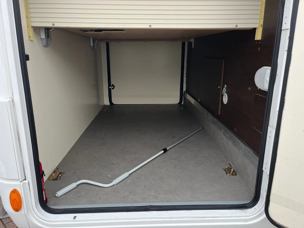 Hoofdafbeelding McLouis YEARLING