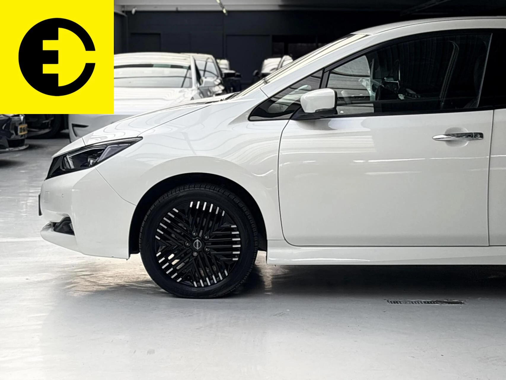 Hoofdafbeelding Nissan Leaf