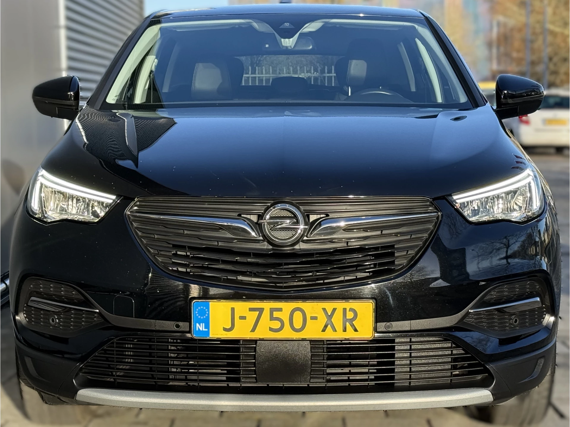 Hoofdafbeelding Opel Grandland X