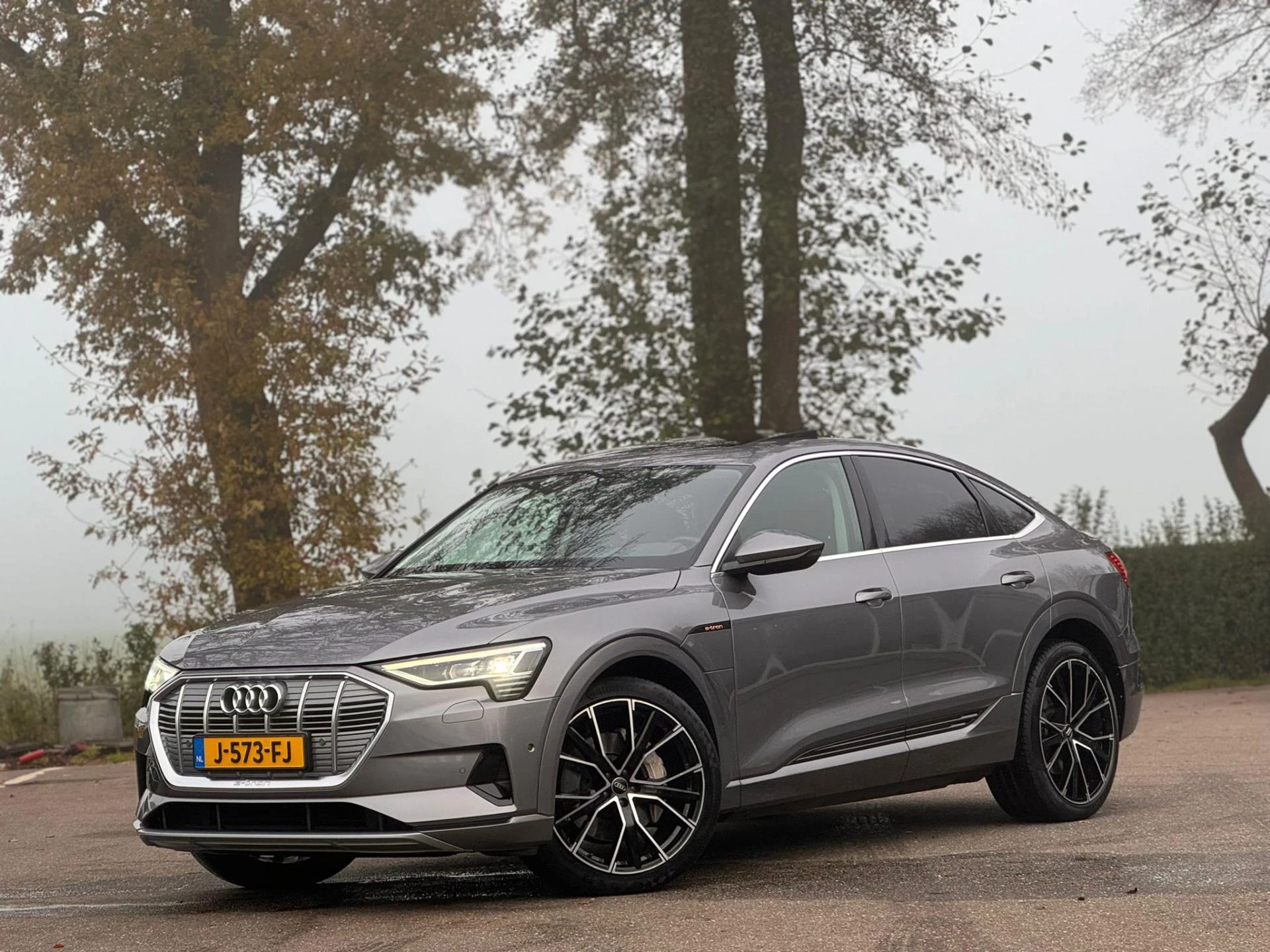 Hoofdafbeelding Audi e-tron