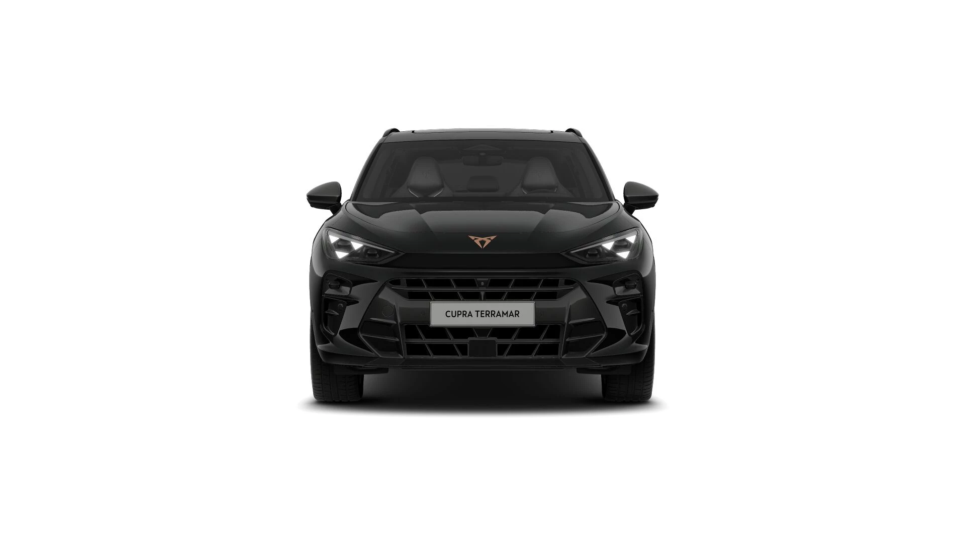 Hoofdafbeelding CUPRA Terramar