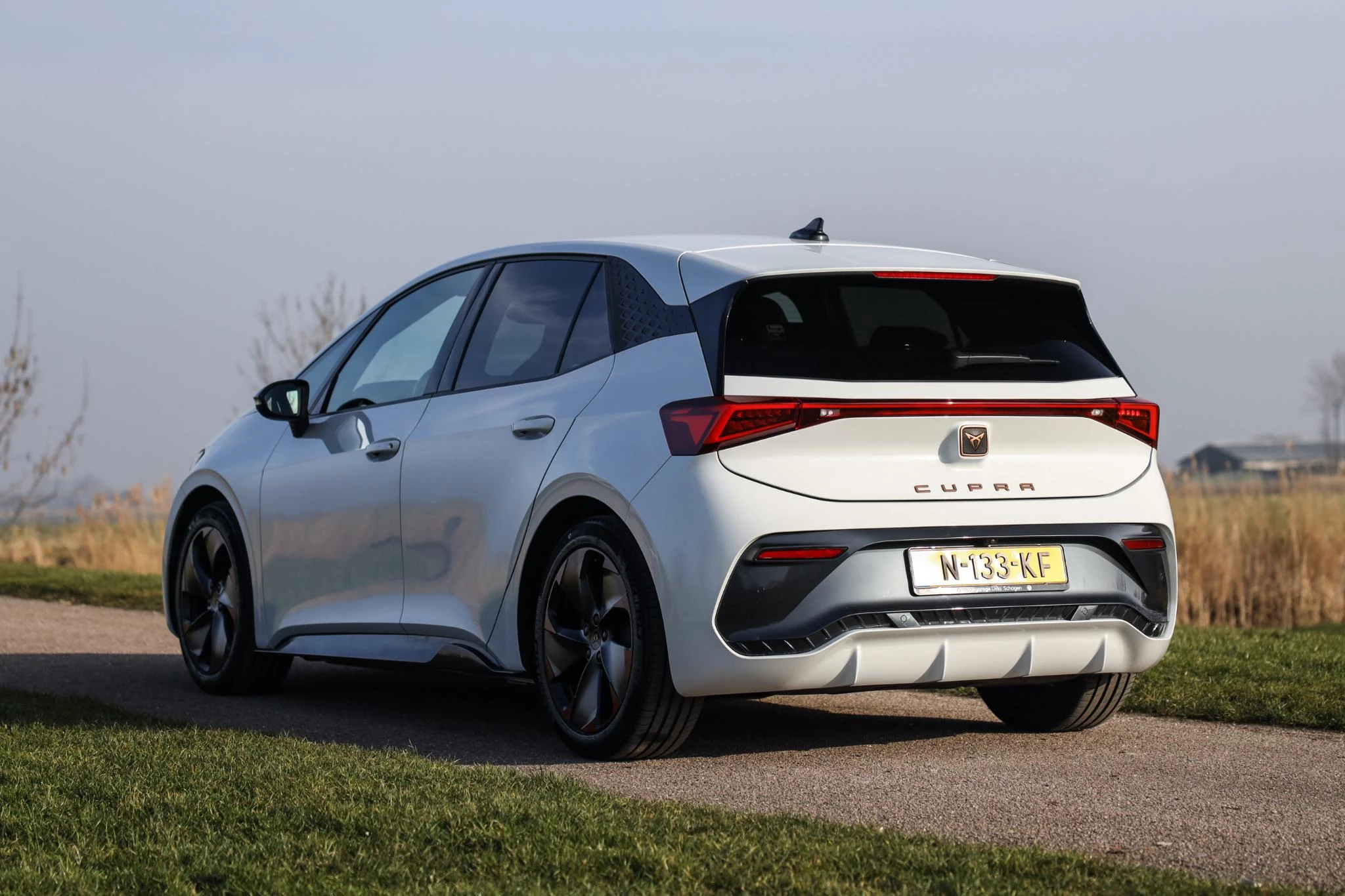 Hoofdafbeelding CUPRA Born