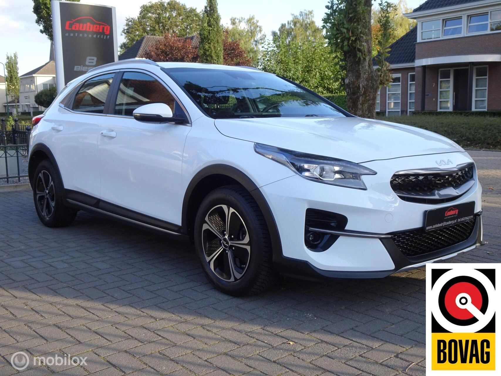 Hoofdafbeelding Kia XCeed