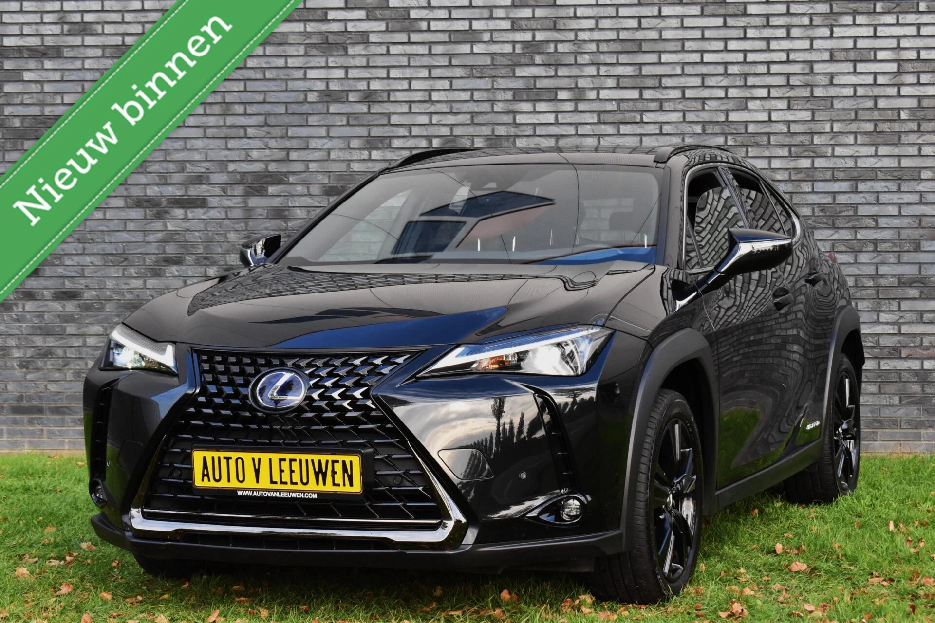 Hoofdafbeelding Lexus UX