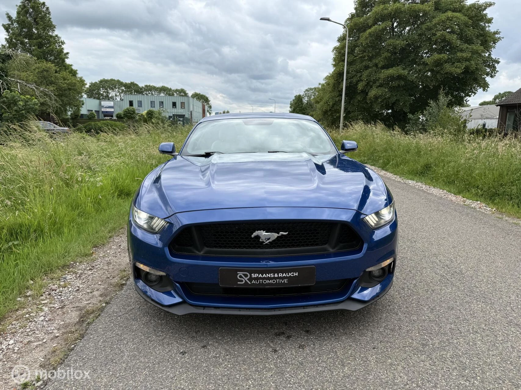 Hoofdafbeelding Ford Mustang