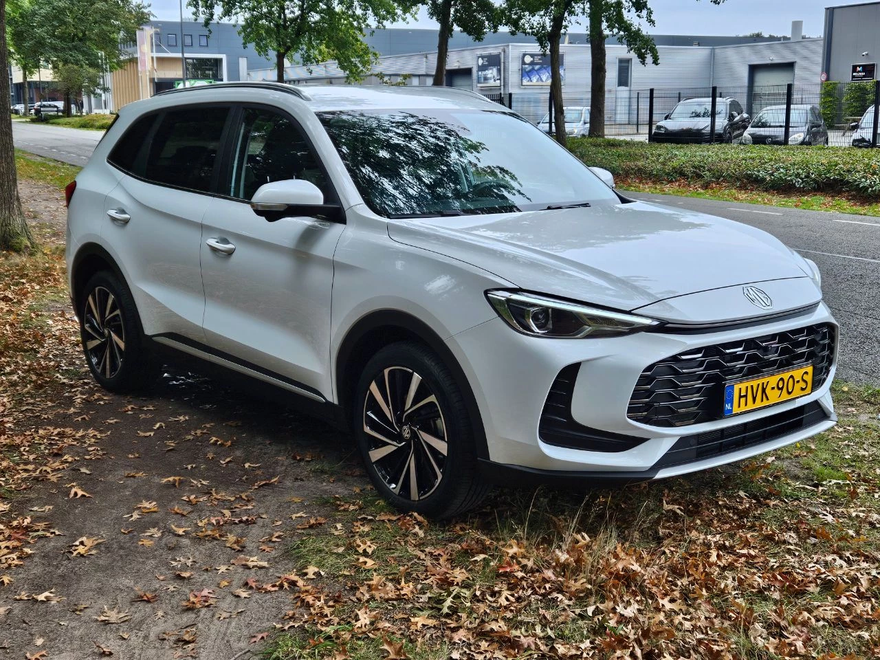 Hoofdafbeelding MG ZS