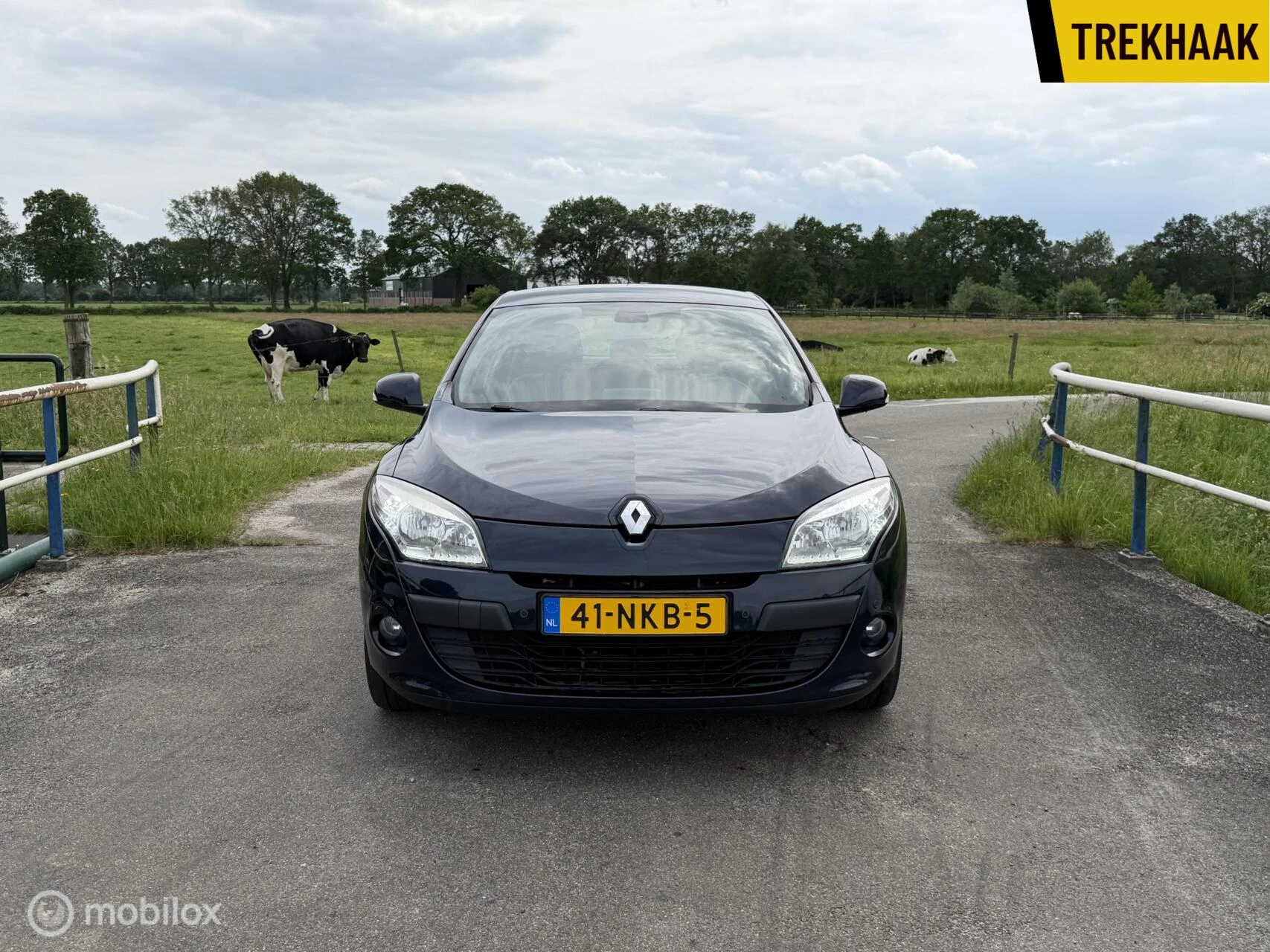 Hoofdafbeelding Renault Mégane