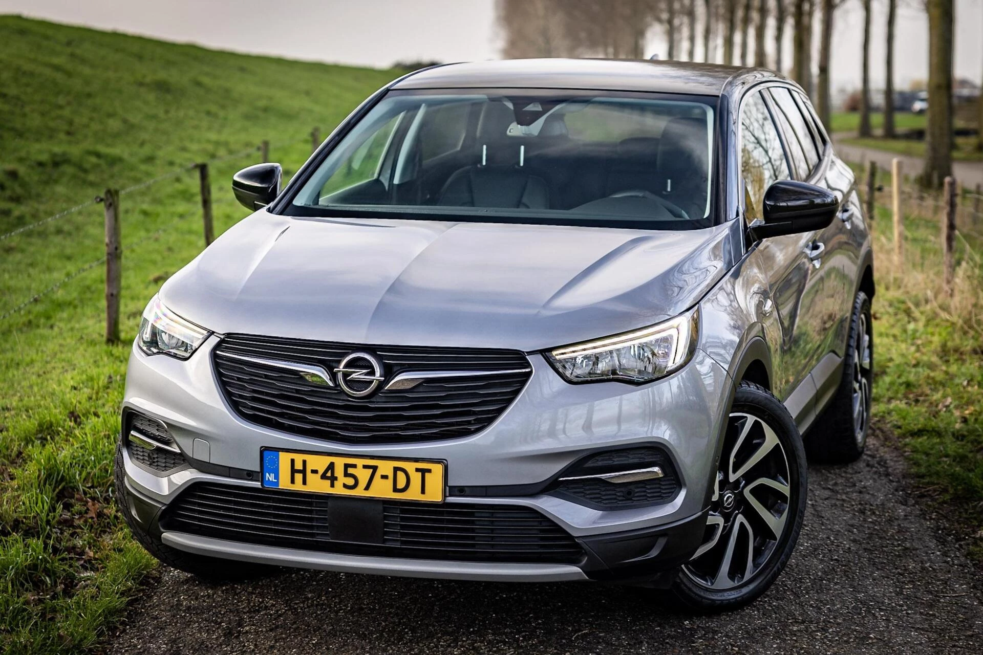 Hoofdafbeelding Opel Grandland X