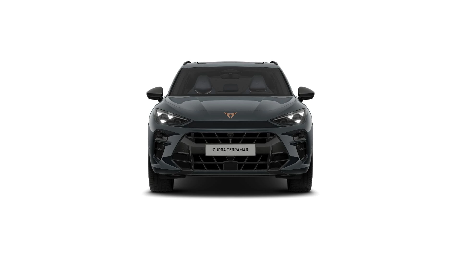 Hoofdafbeelding CUPRA Terramar