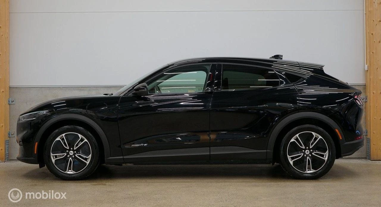 Hoofdafbeelding Ford Mustang Mach-E