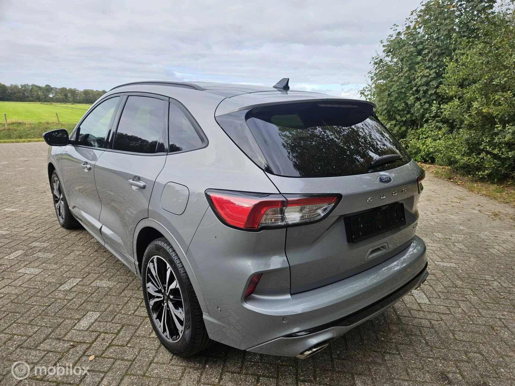 Hoofdafbeelding Ford Kuga