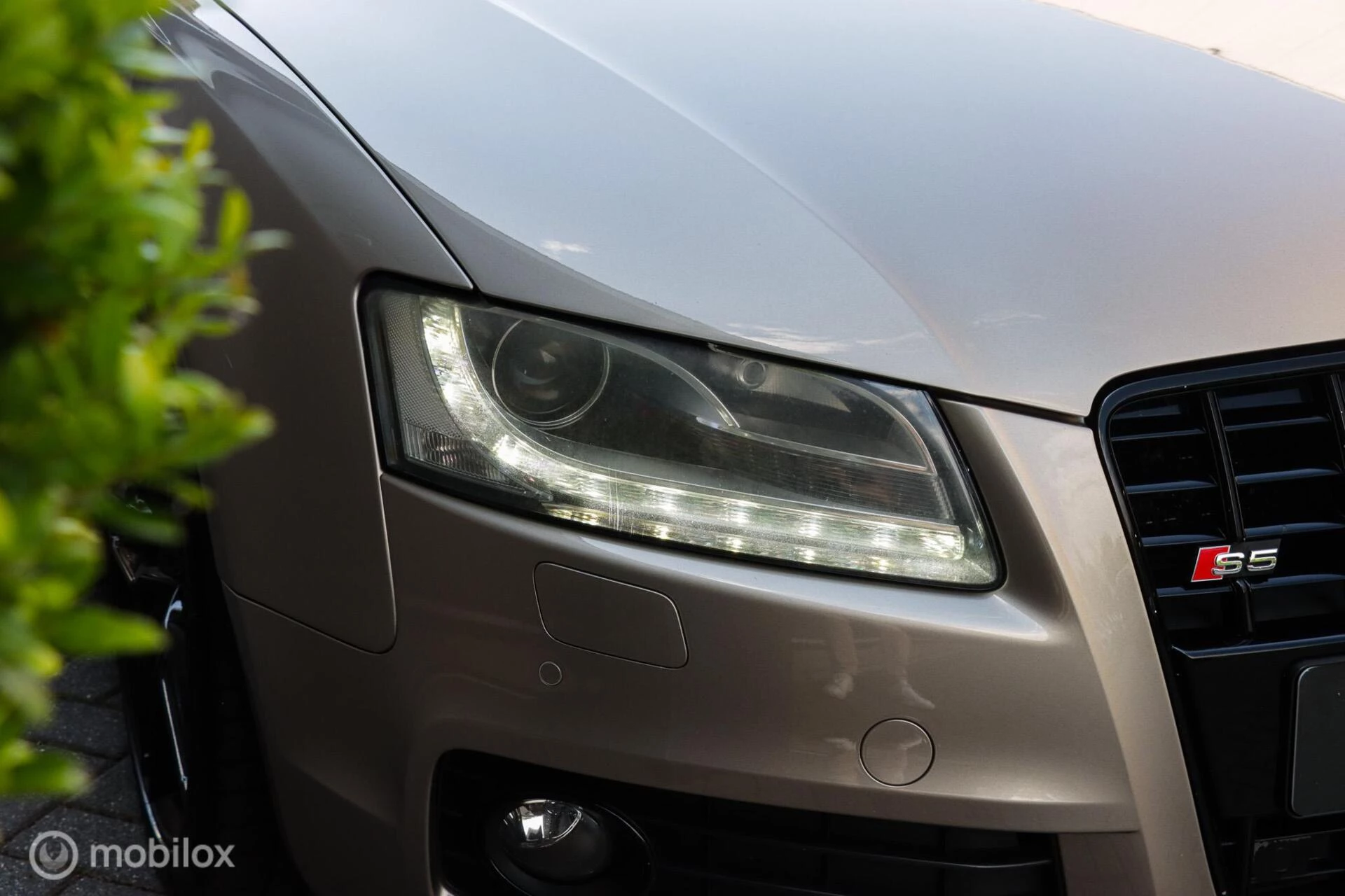 Hoofdafbeelding Audi S5