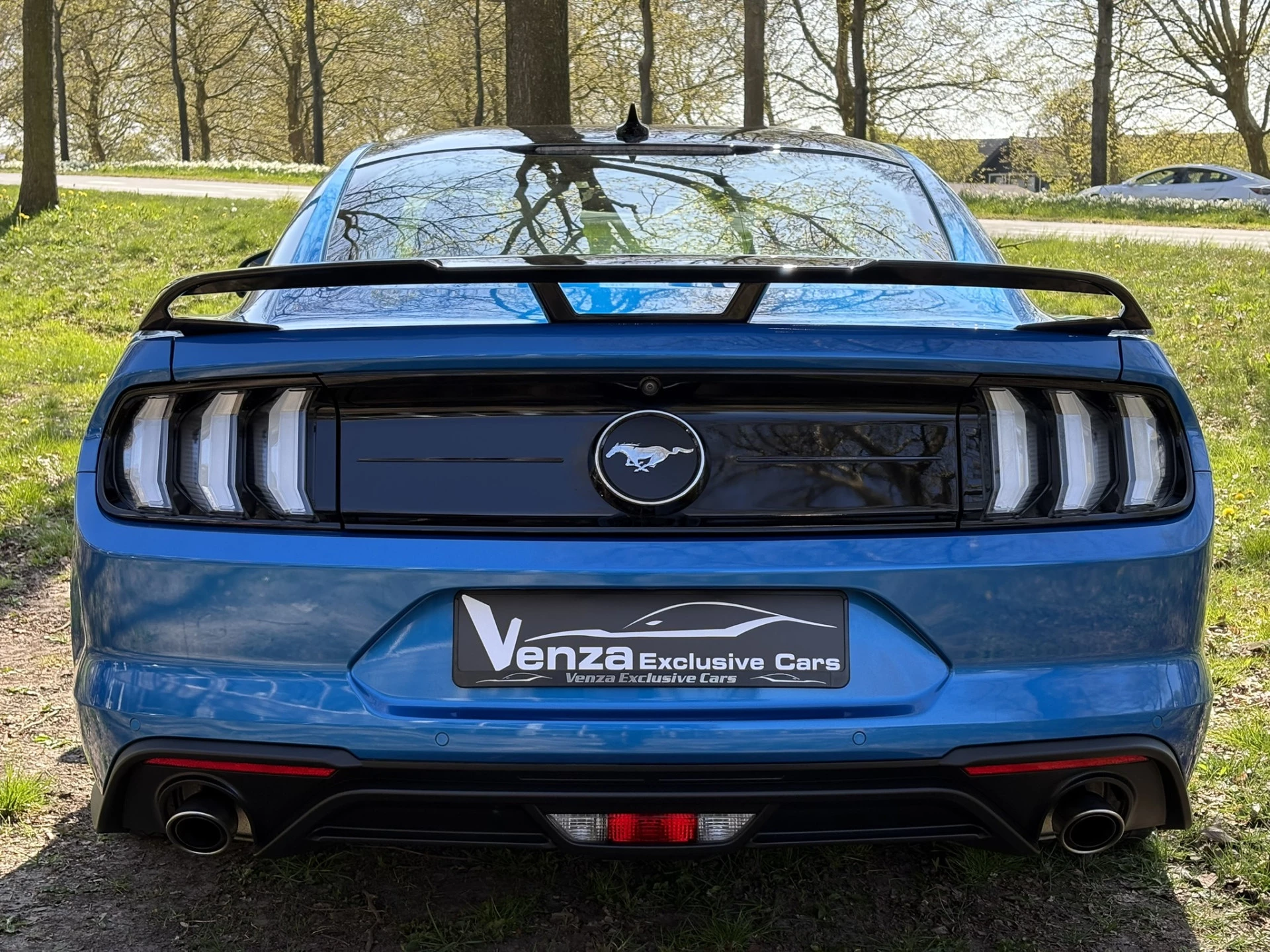 Hoofdafbeelding Ford Mustang