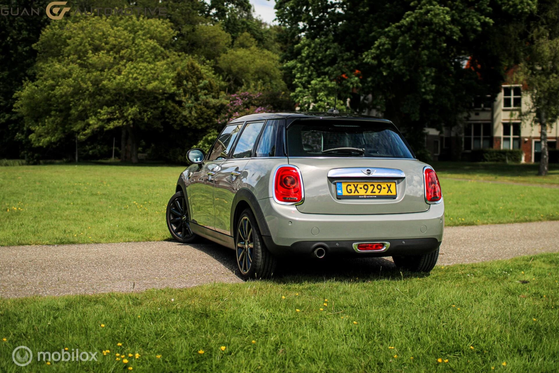 Hoofdafbeelding MINI Cooper
