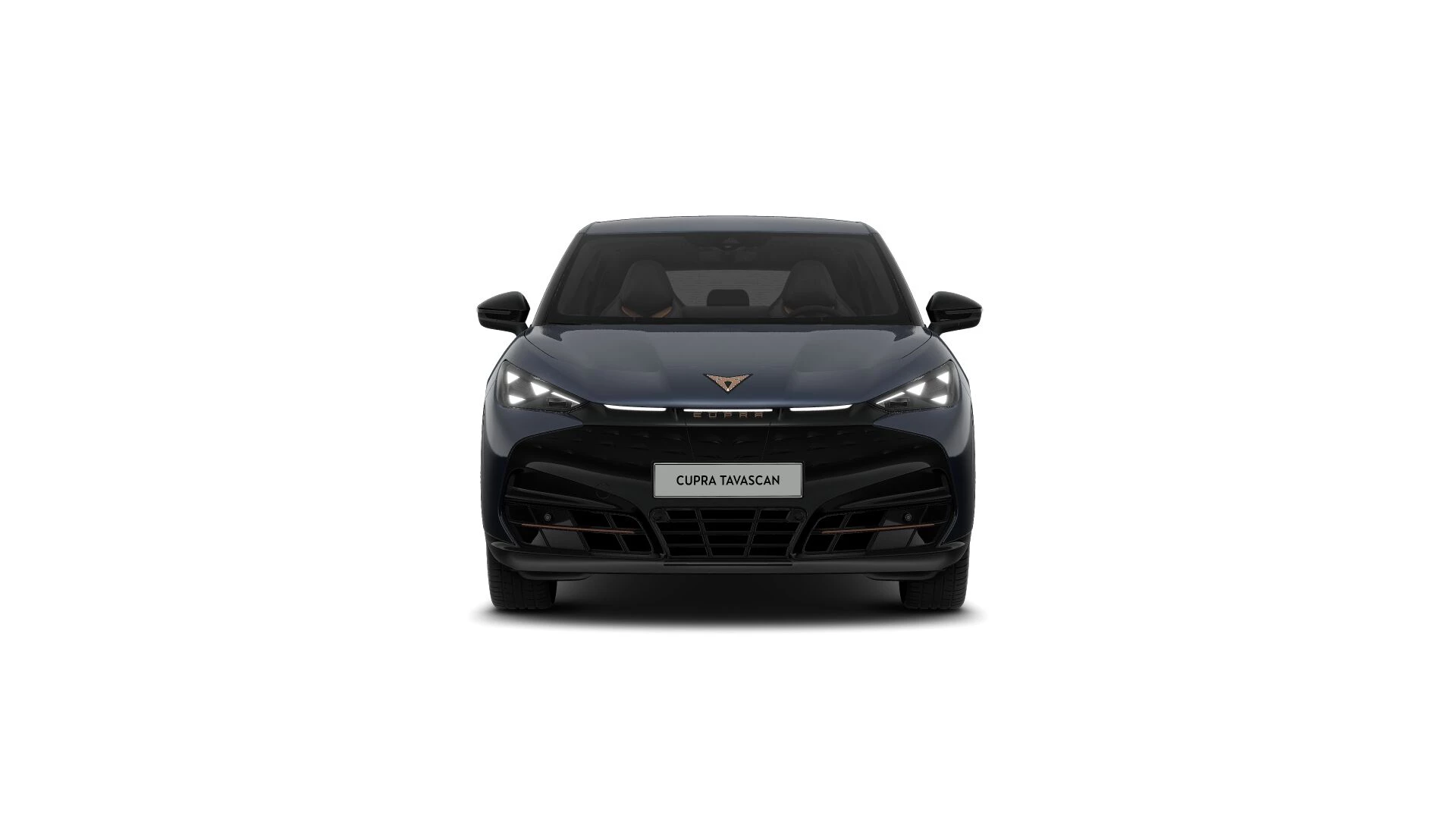 Hoofdafbeelding CUPRA Tavascan