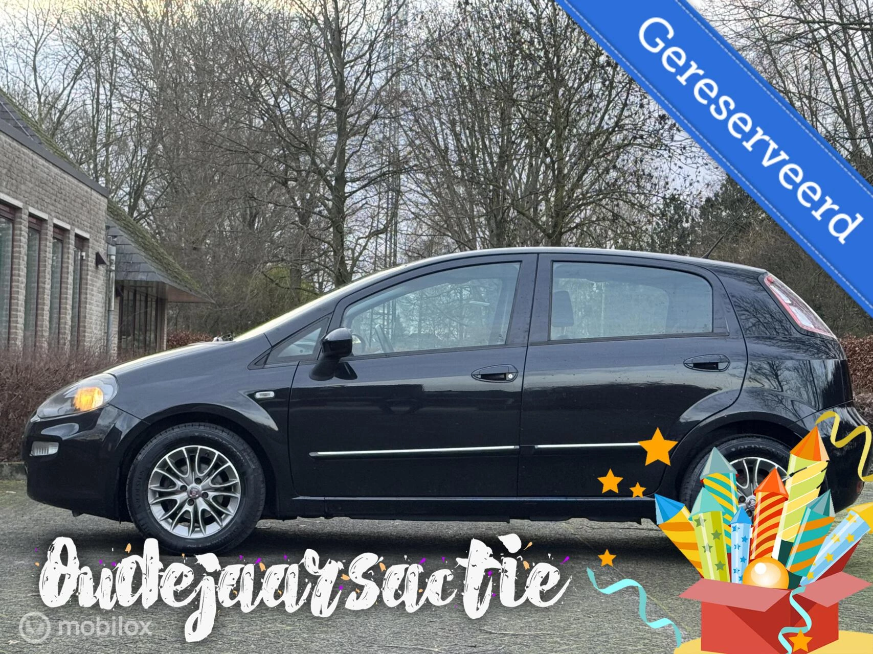 Hoofdafbeelding Fiat Punto