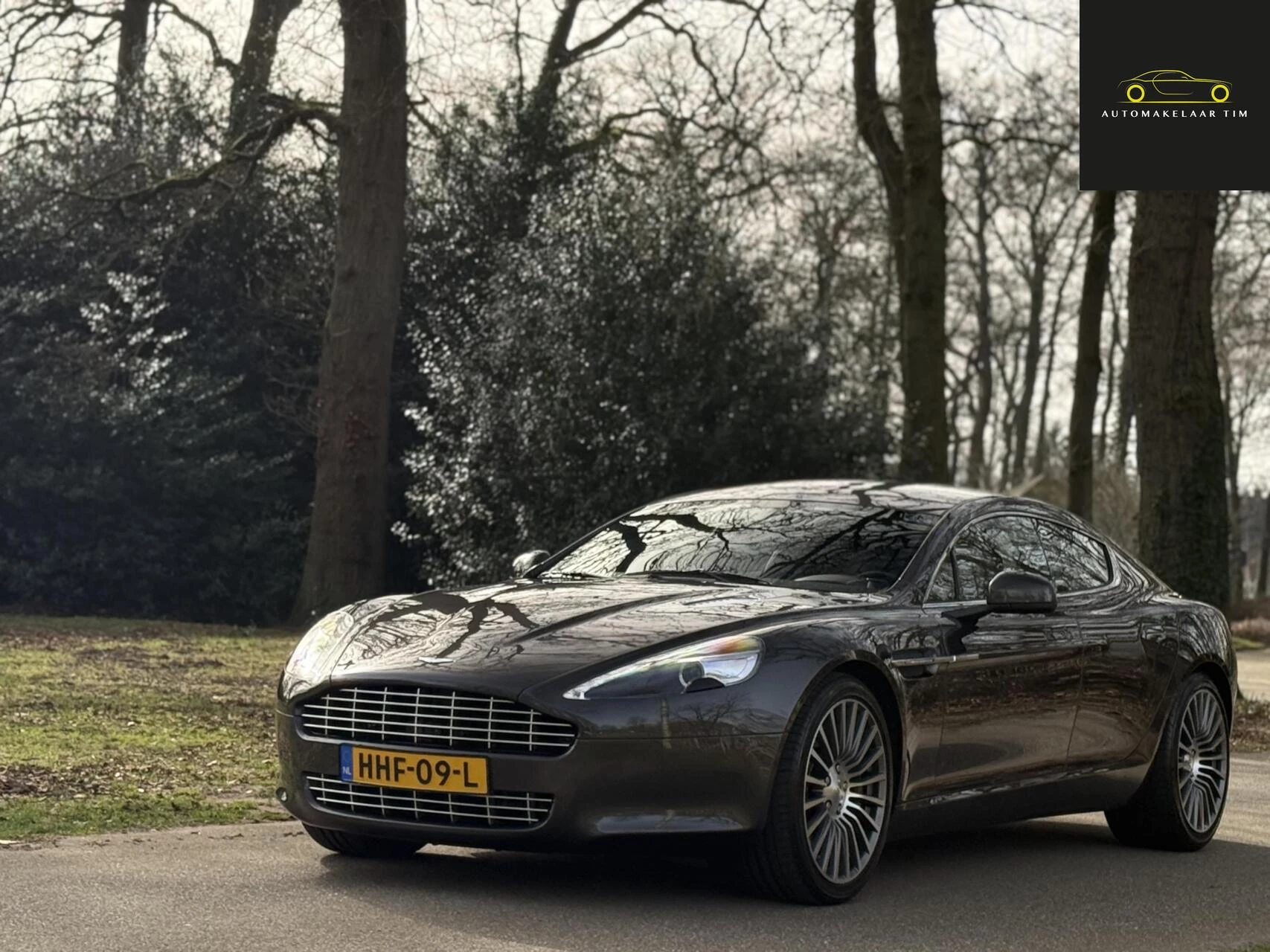 Hoofdafbeelding Aston Martin Rapide