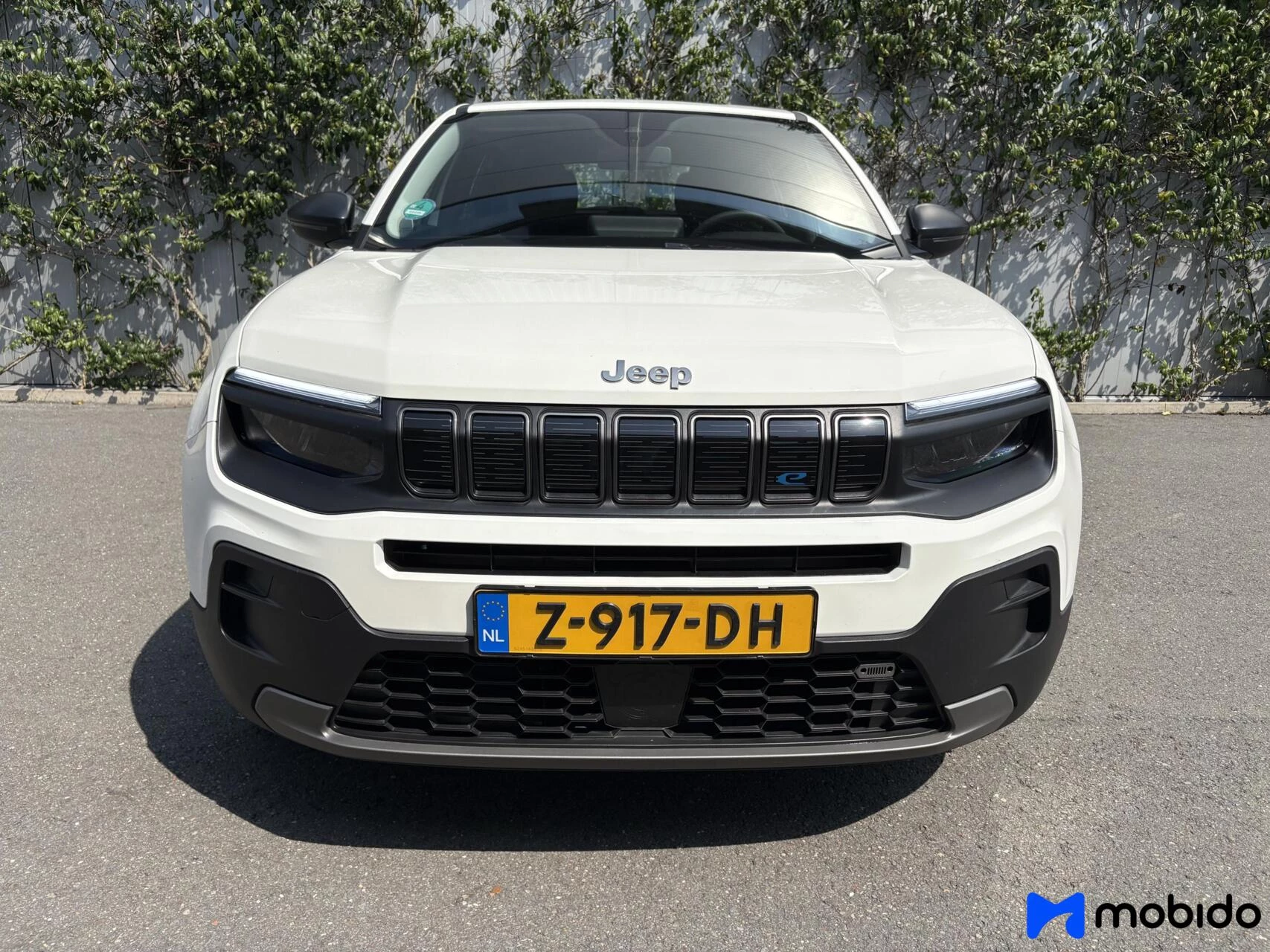 Hoofdafbeelding Jeep Avenger