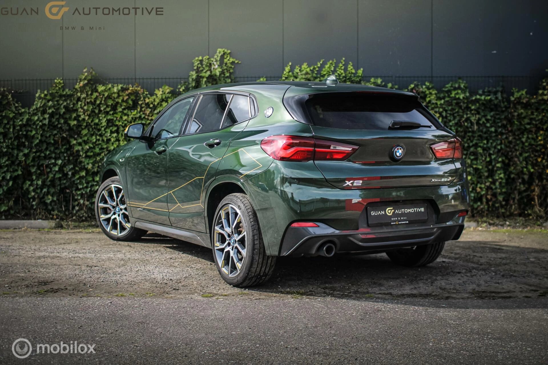 Hoofdafbeelding BMW X2