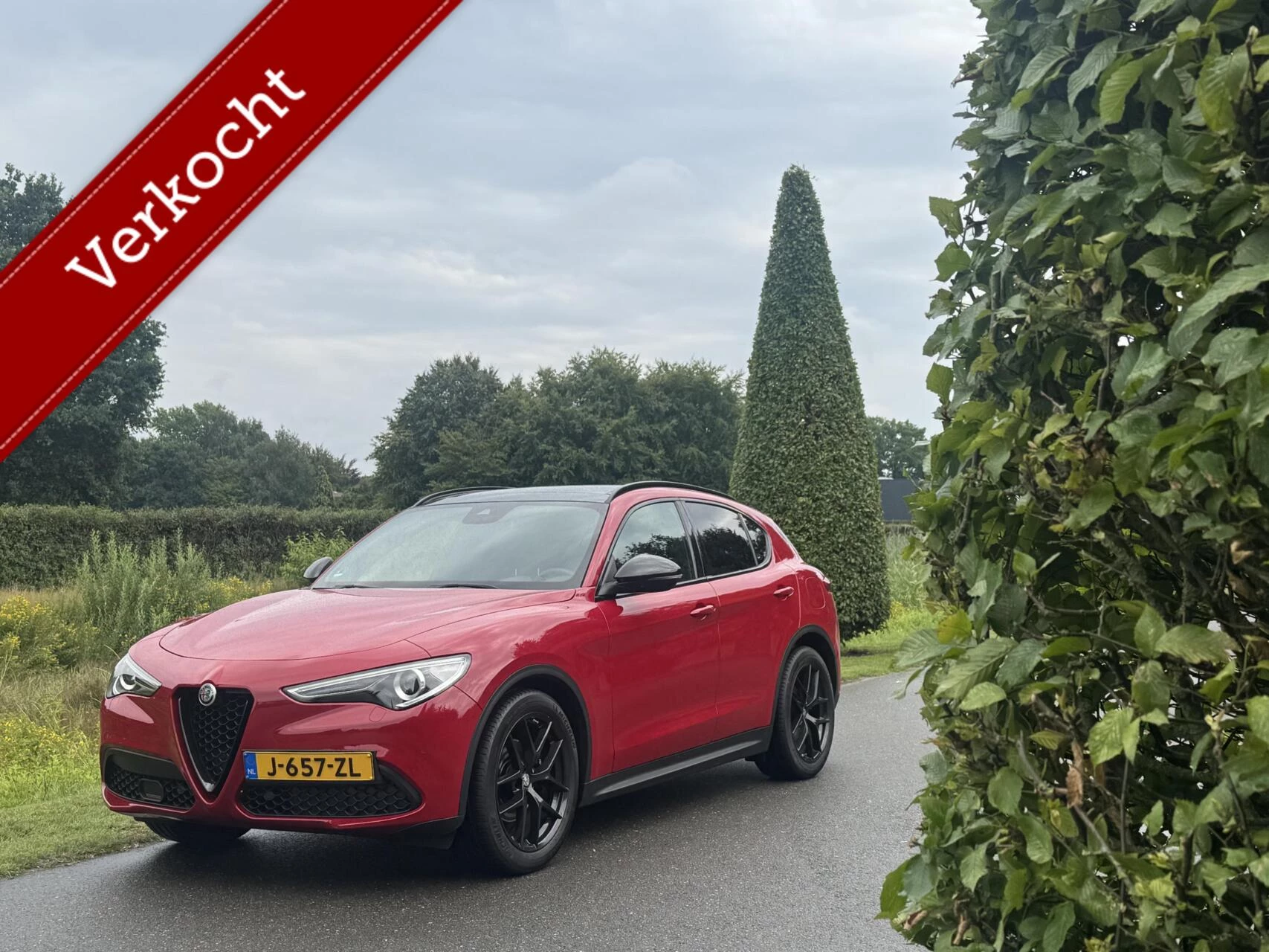 Hoofdafbeelding Alfa Romeo Stelvio