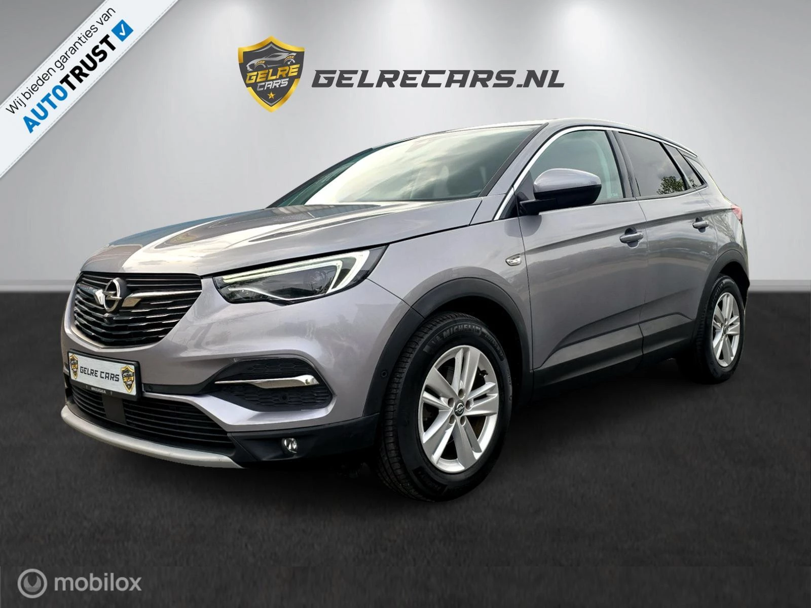 Hoofdafbeelding Opel Grandland X