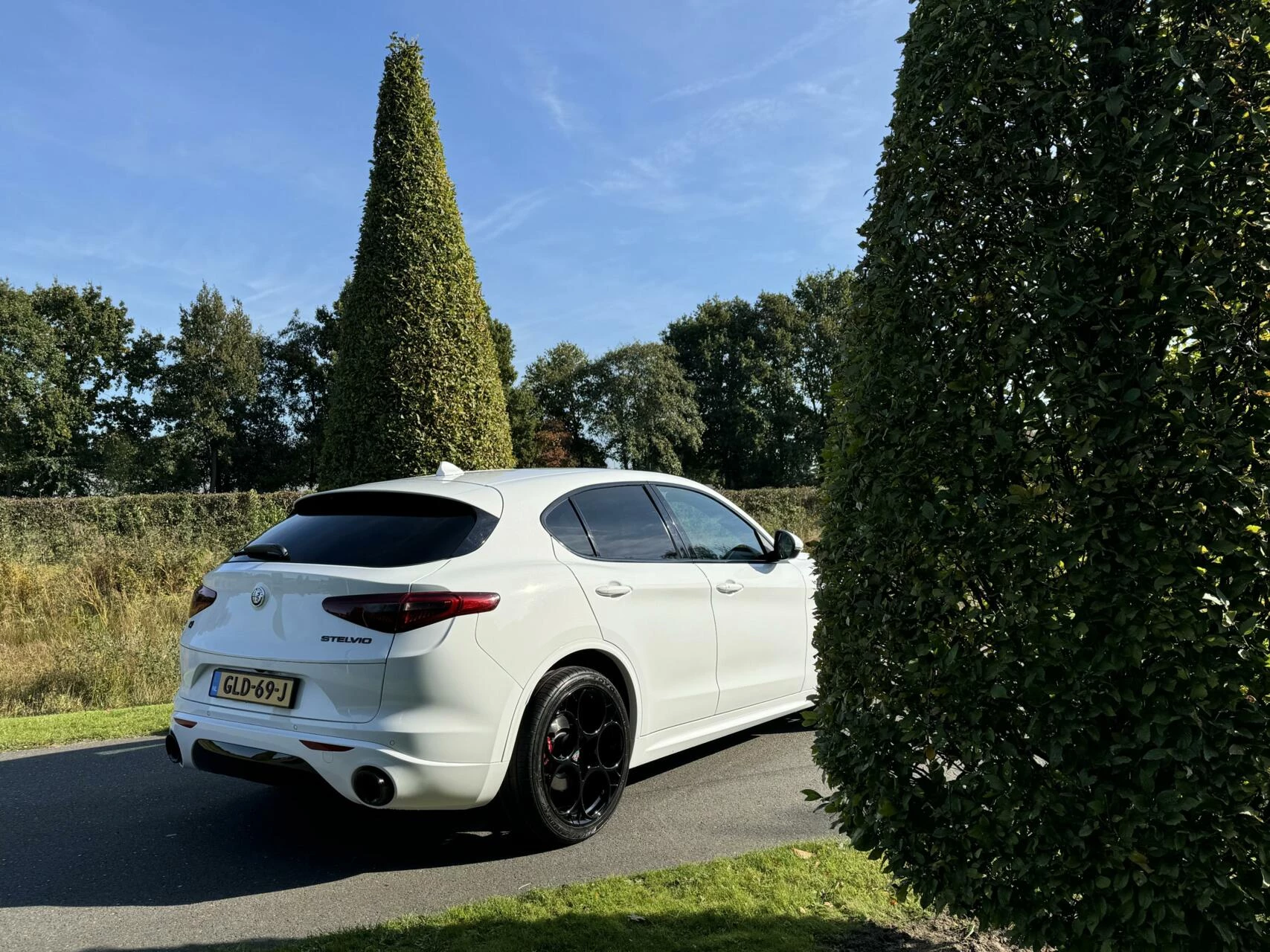 Hoofdafbeelding Alfa Romeo Stelvio