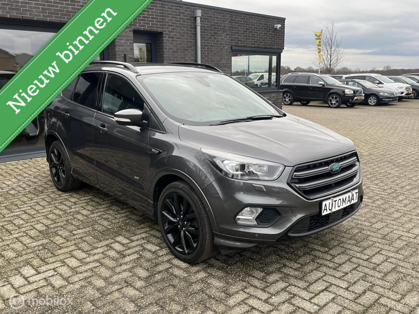 Hoofdafbeelding Ford Kuga