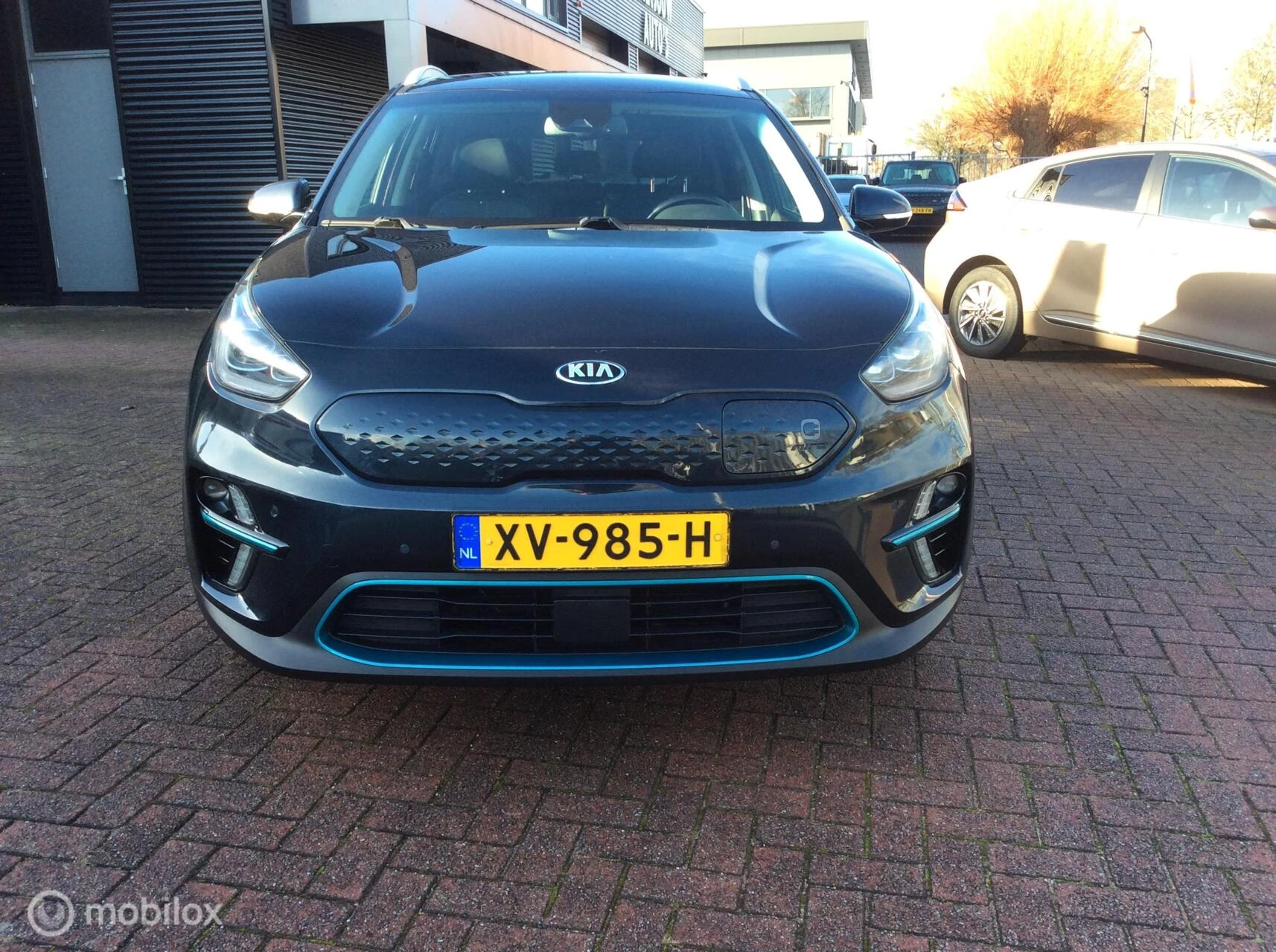 Hoofdafbeelding Kia e-Niro