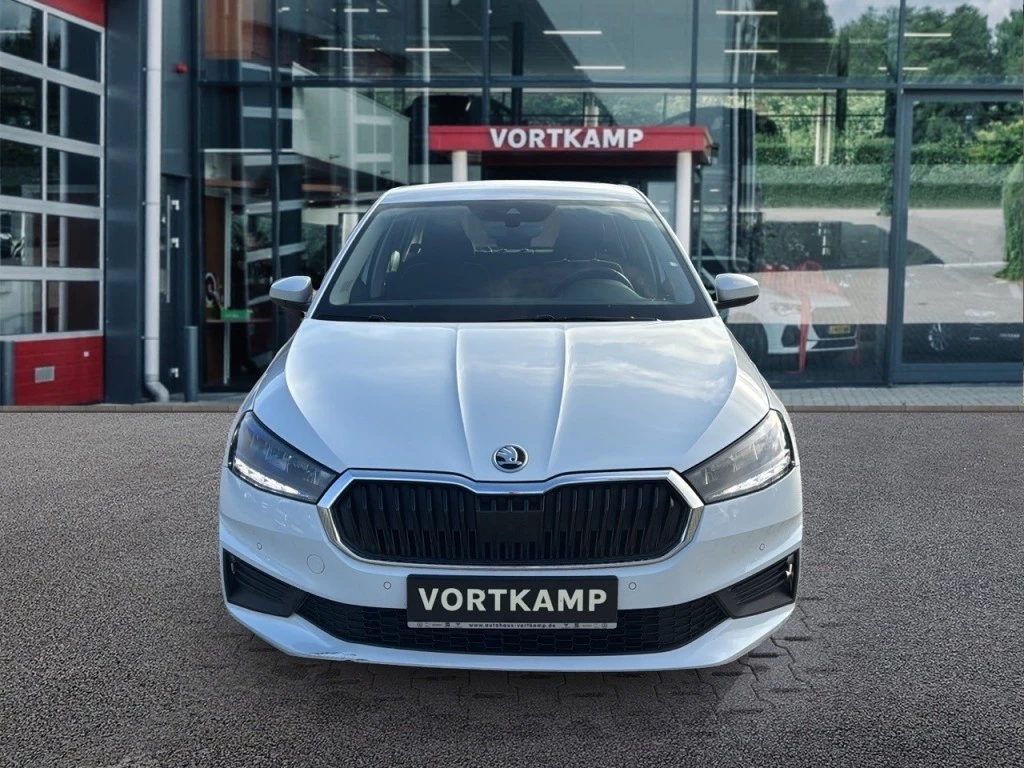 Hoofdafbeelding Škoda Fabia