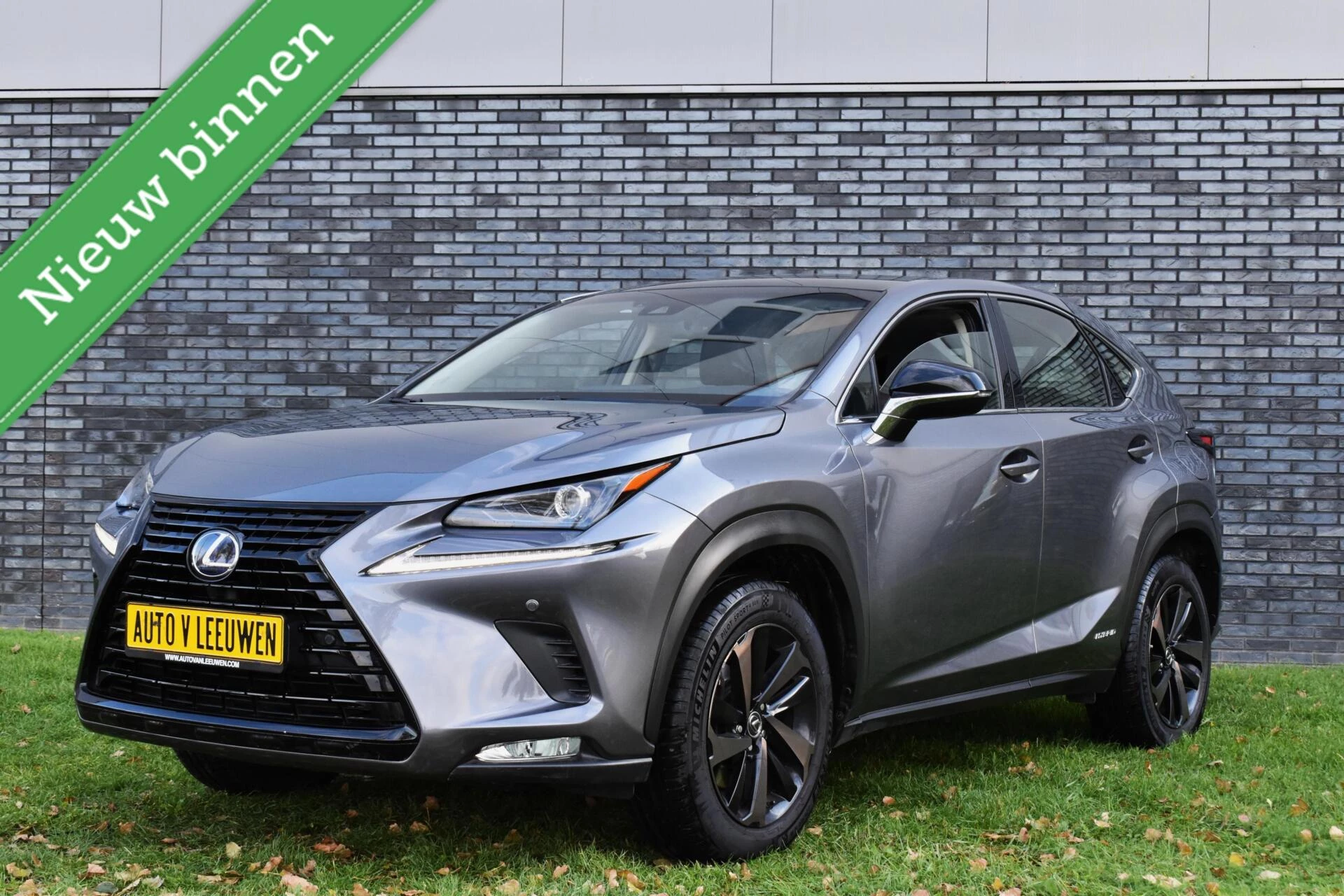 Hoofdafbeelding Lexus NX