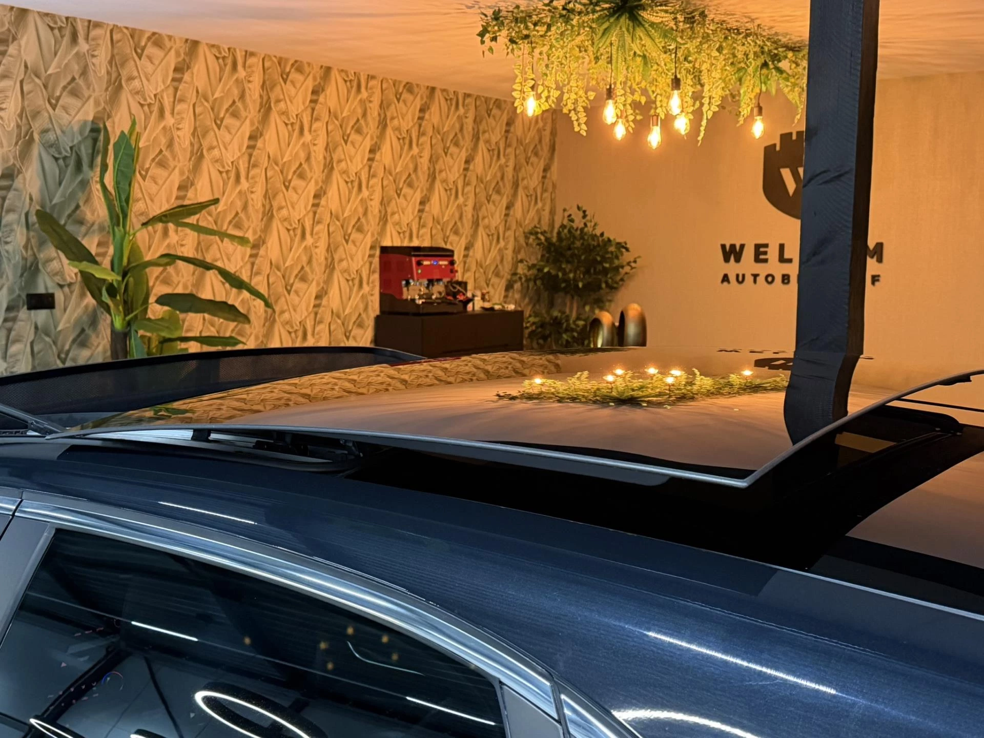 Hoofdafbeelding Kia Ceed