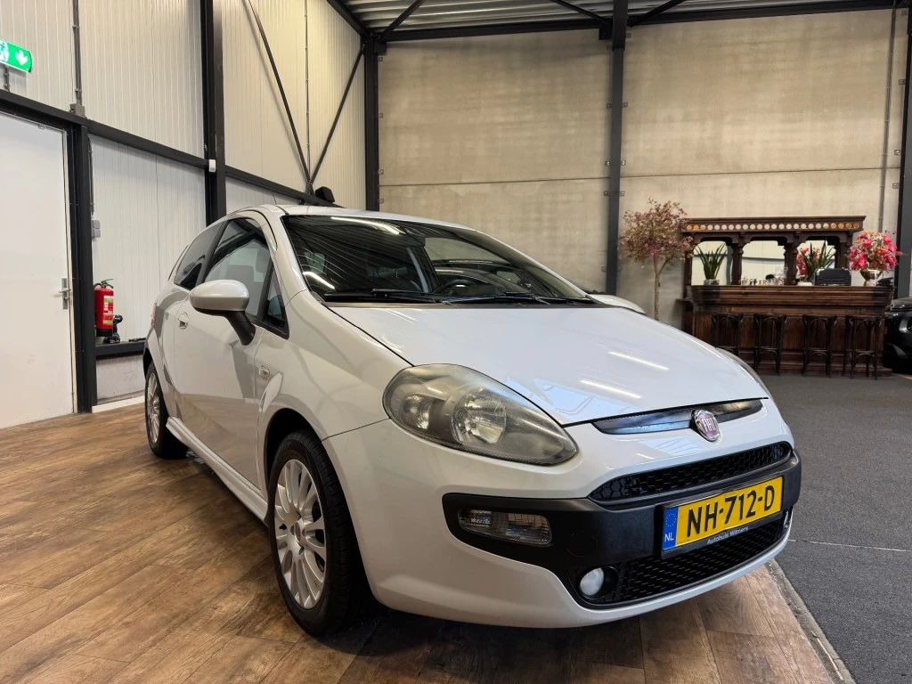 Hoofdafbeelding Fiat Punto
