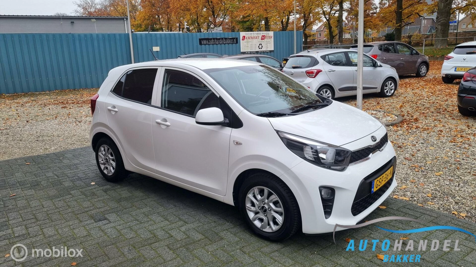 Hoofdafbeelding Kia Picanto