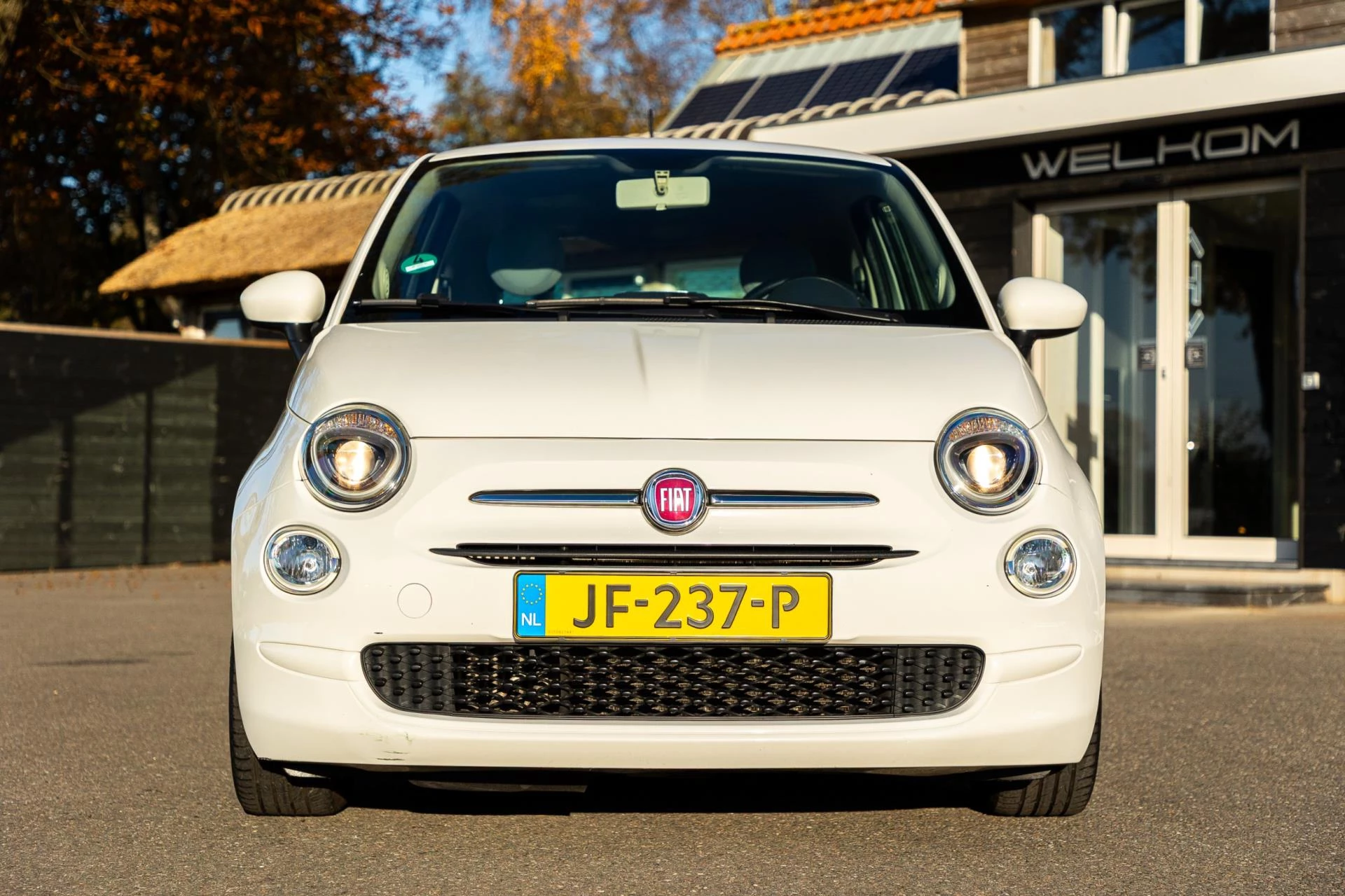 Hoofdafbeelding Fiat 500