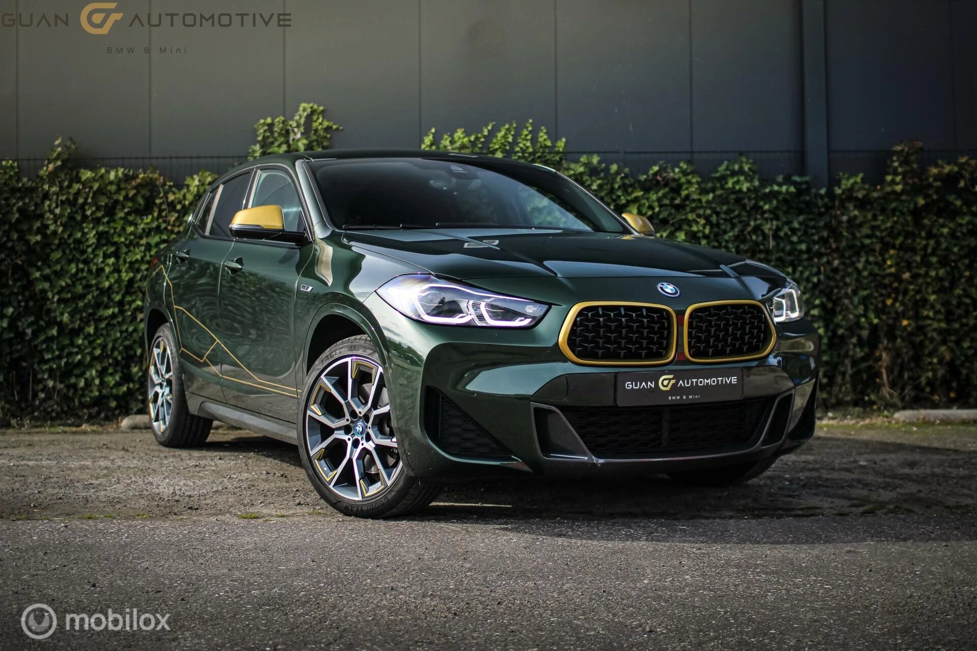 Hoofdafbeelding BMW X2