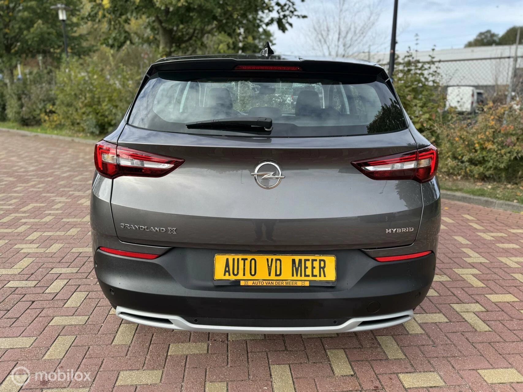 Hoofdafbeelding Opel Grandland X