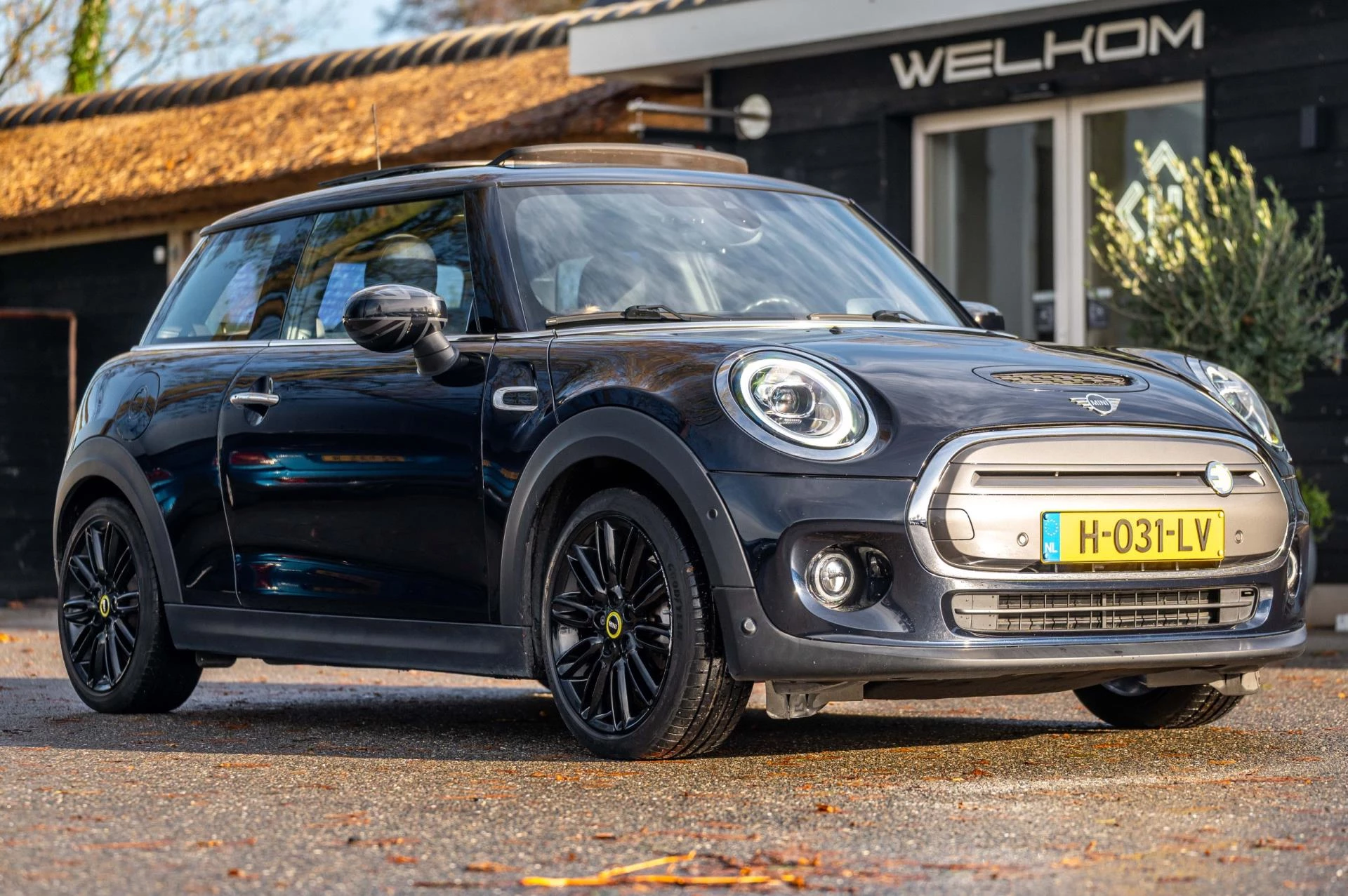 Hoofdafbeelding MINI Electric