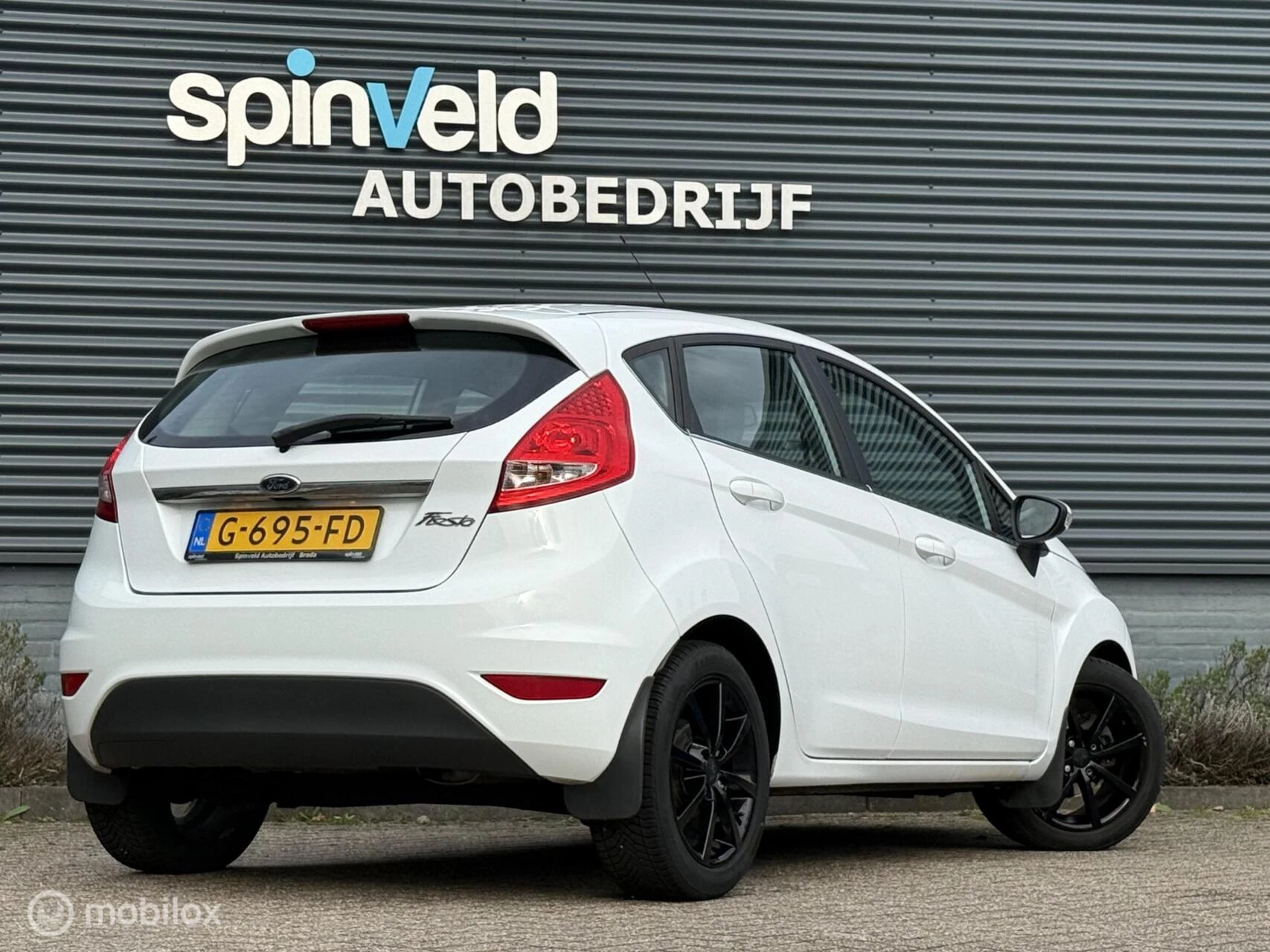 Hoofdafbeelding Ford Fiesta